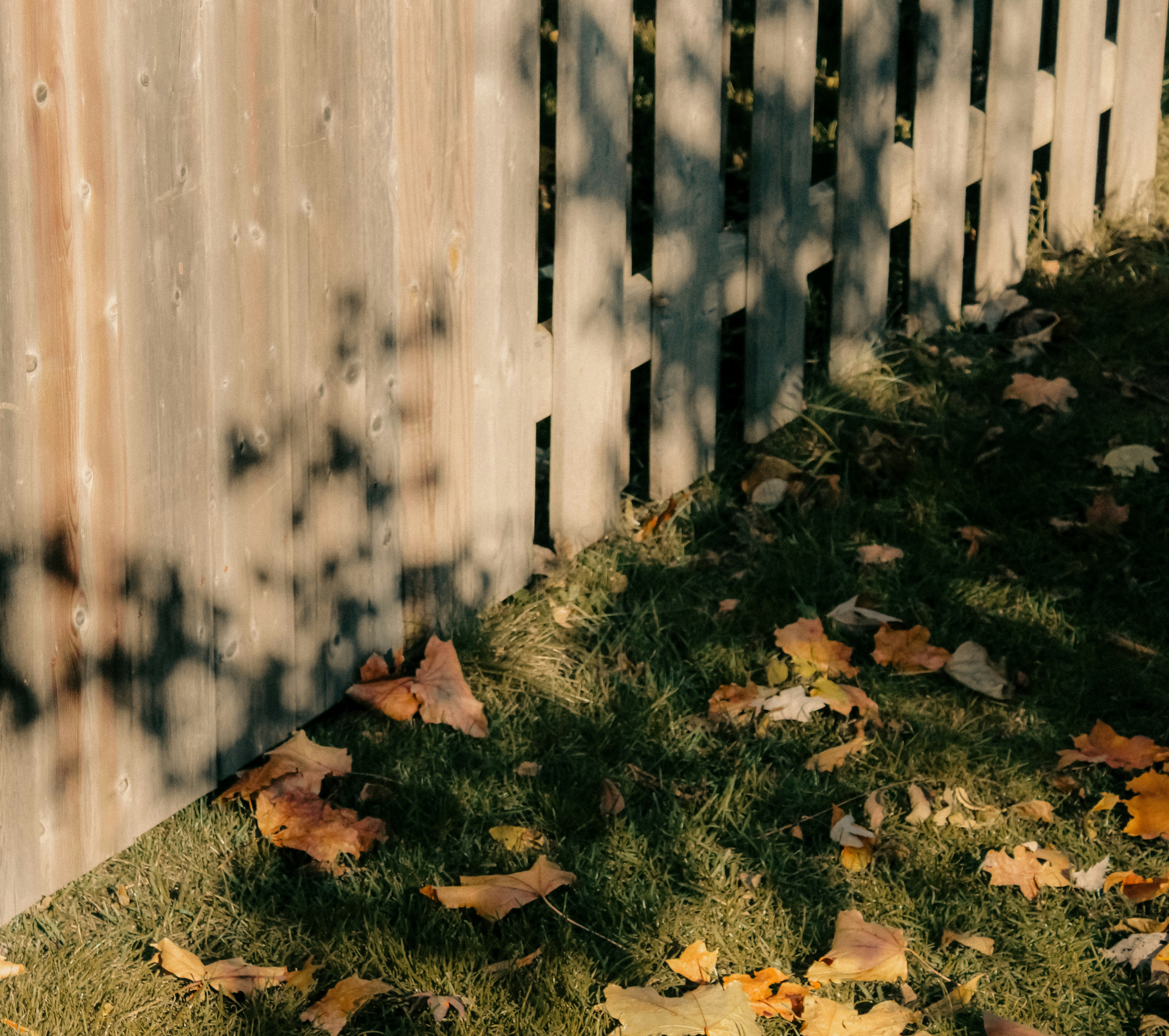 Photo by linusbelanger