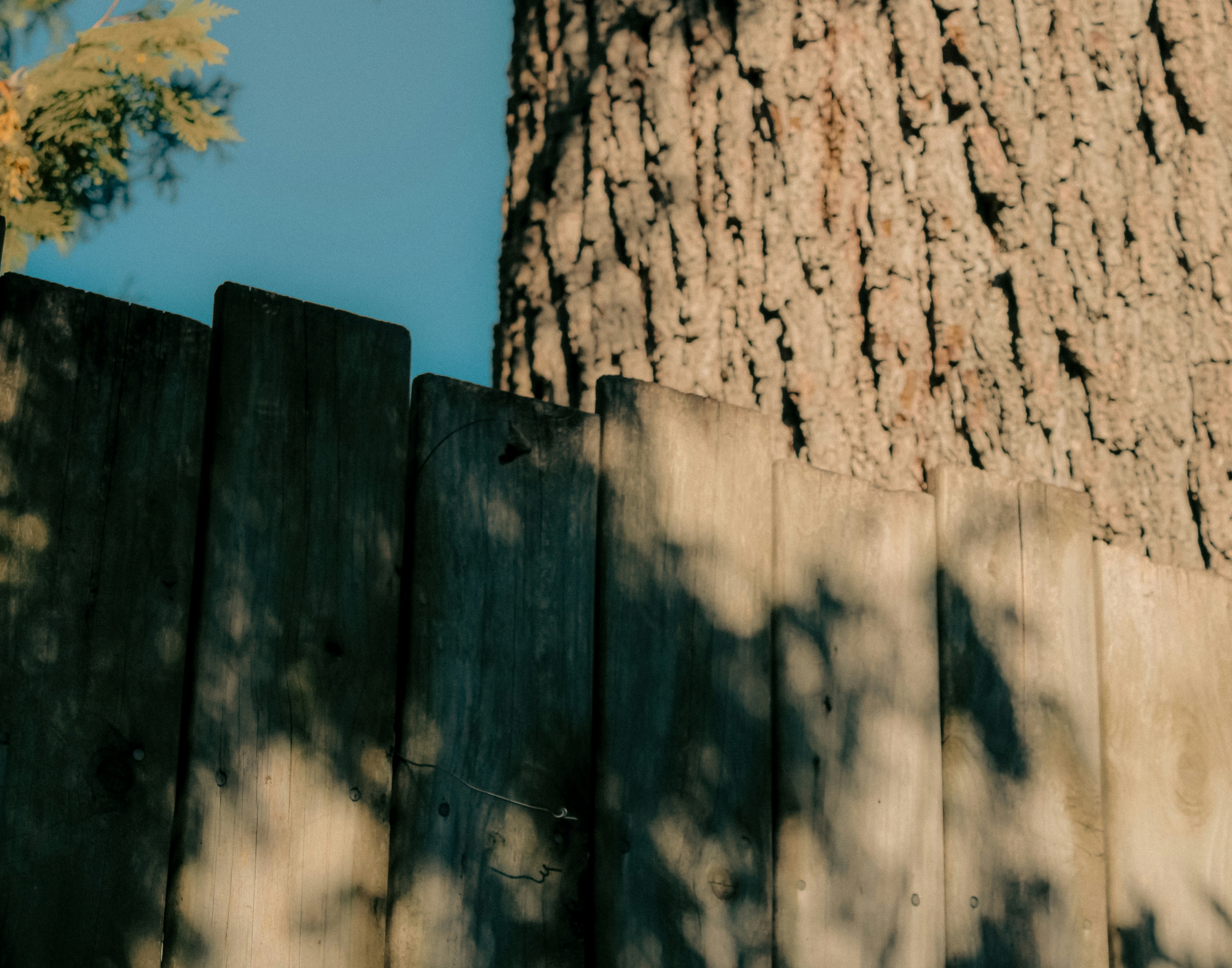 Photo by linusbelanger