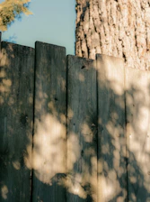 Close-up of a freshly installed wooden fence with sunlight casting soft shadows.