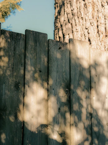 Close-up of a freshly installed wooden fence with sunlight casting soft shadows.