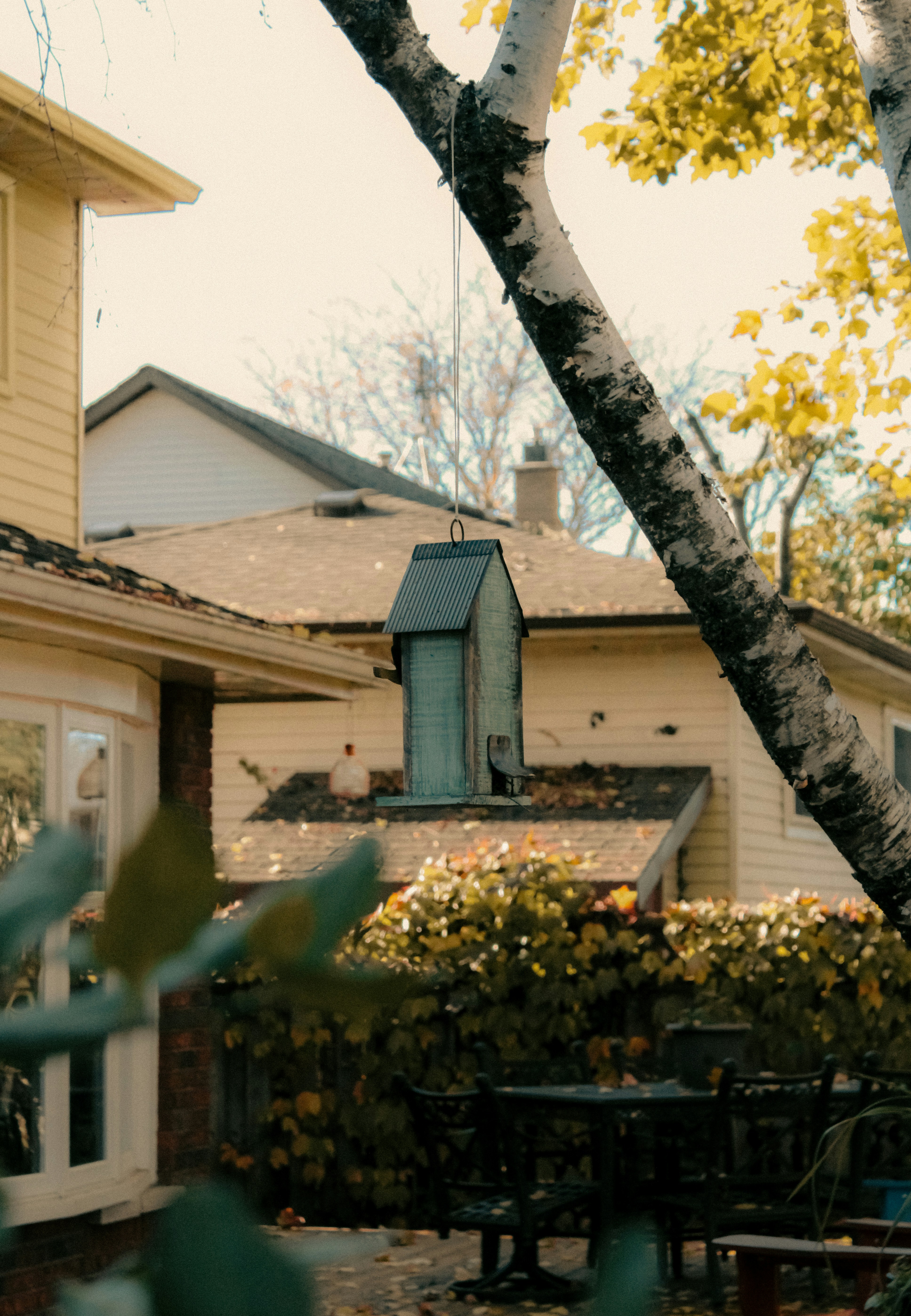 Photo by linusbelanger