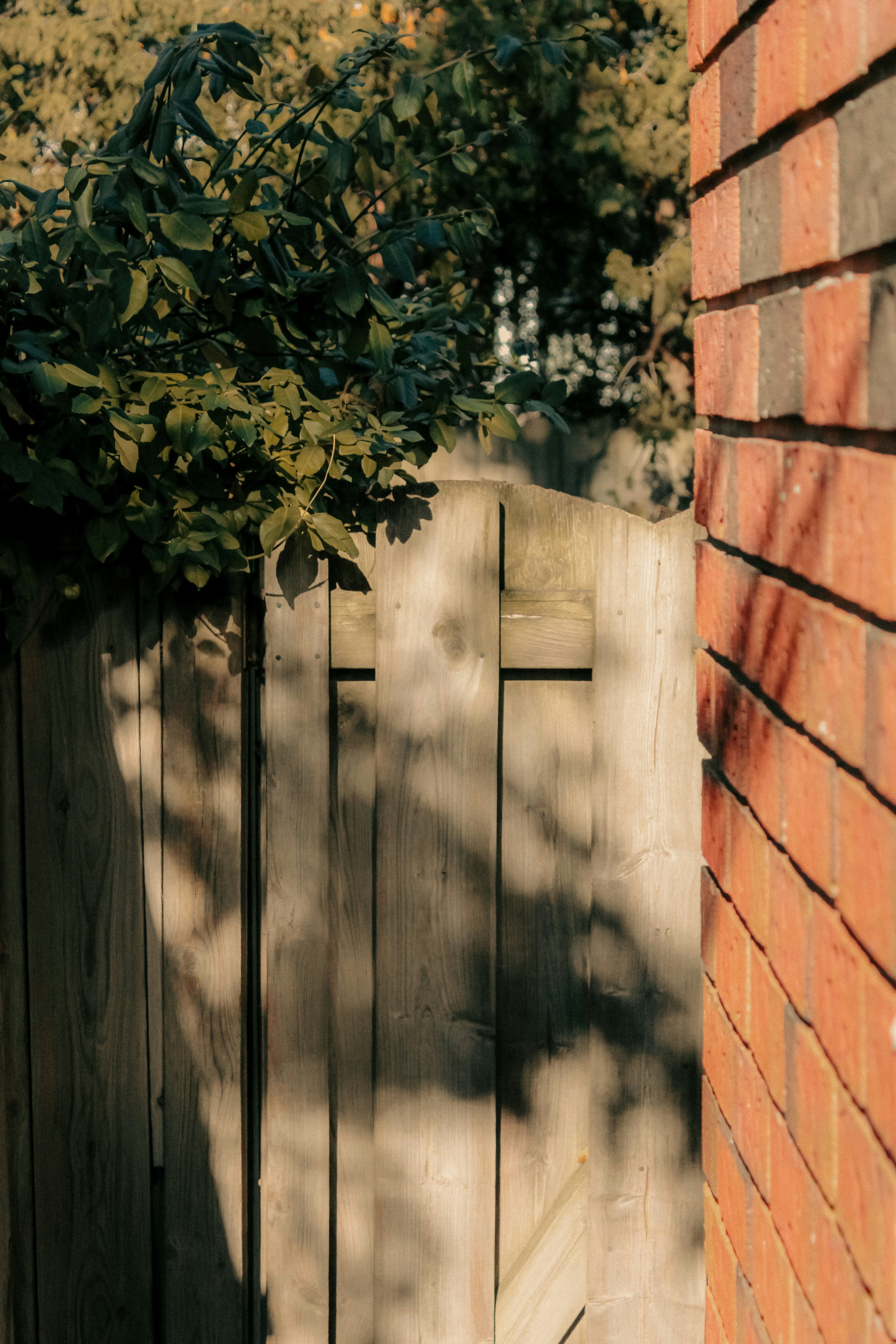 Photo by linusbelanger