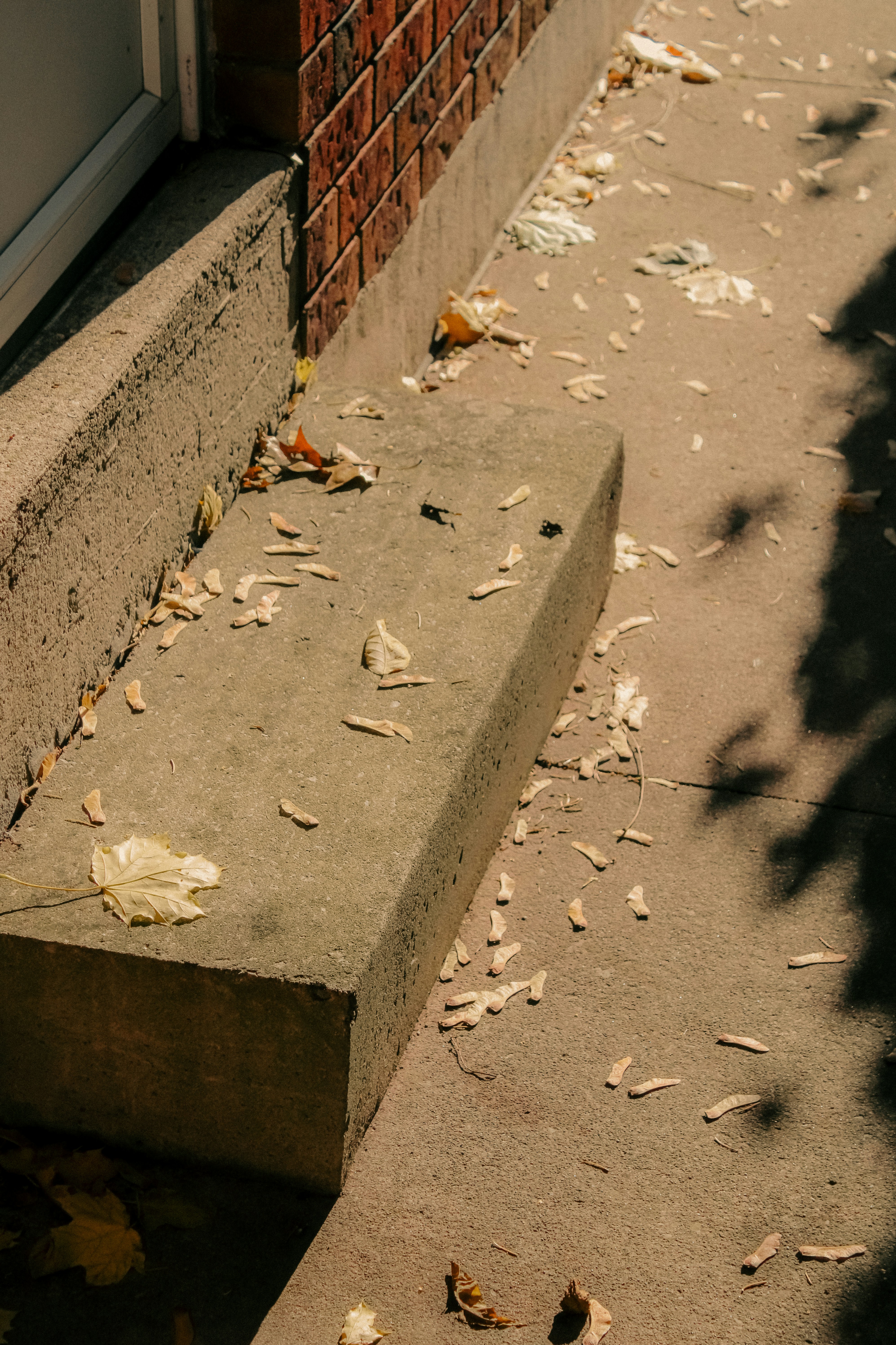 Photo by linusbelanger