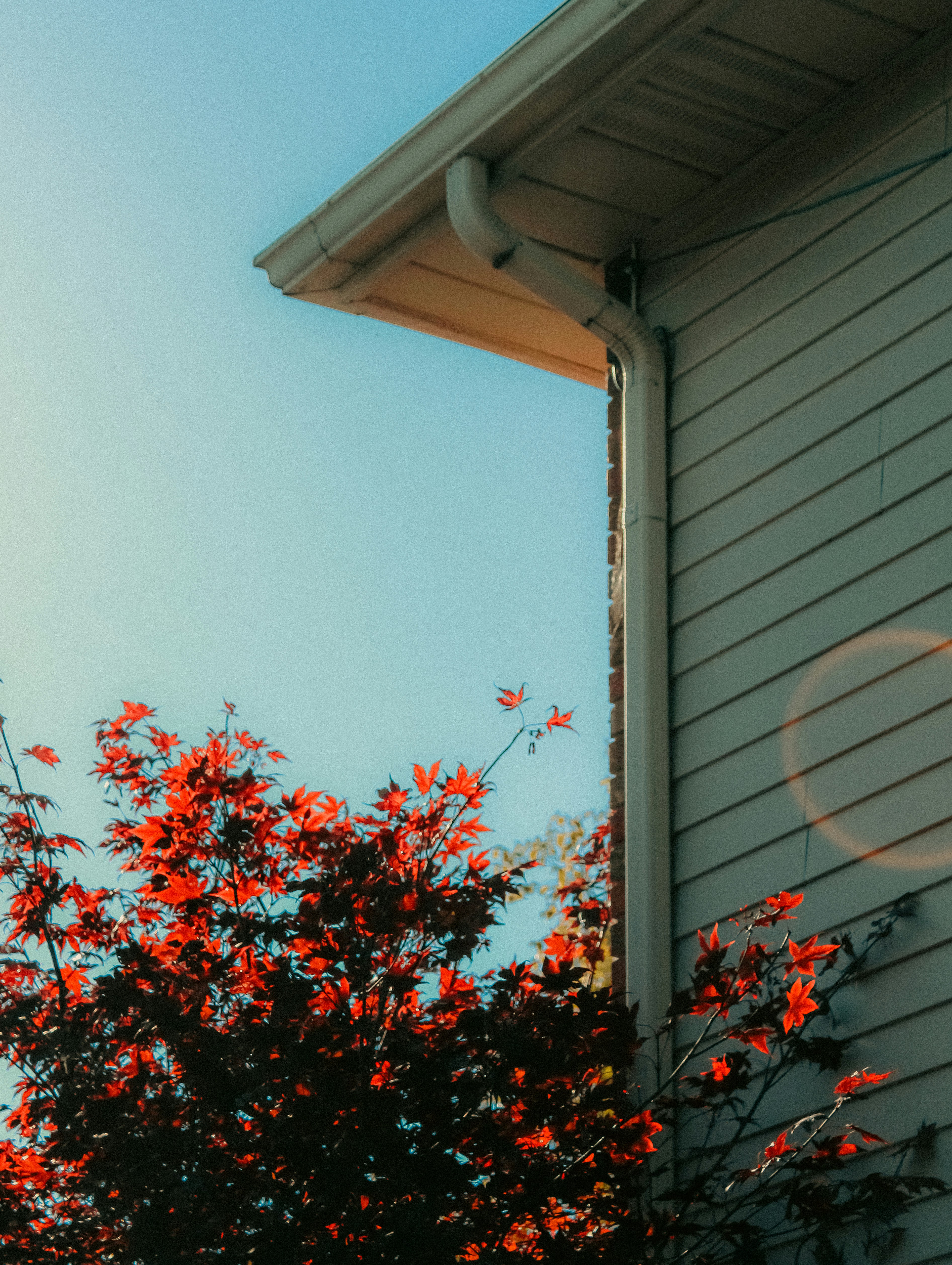 Photo by linusbelanger