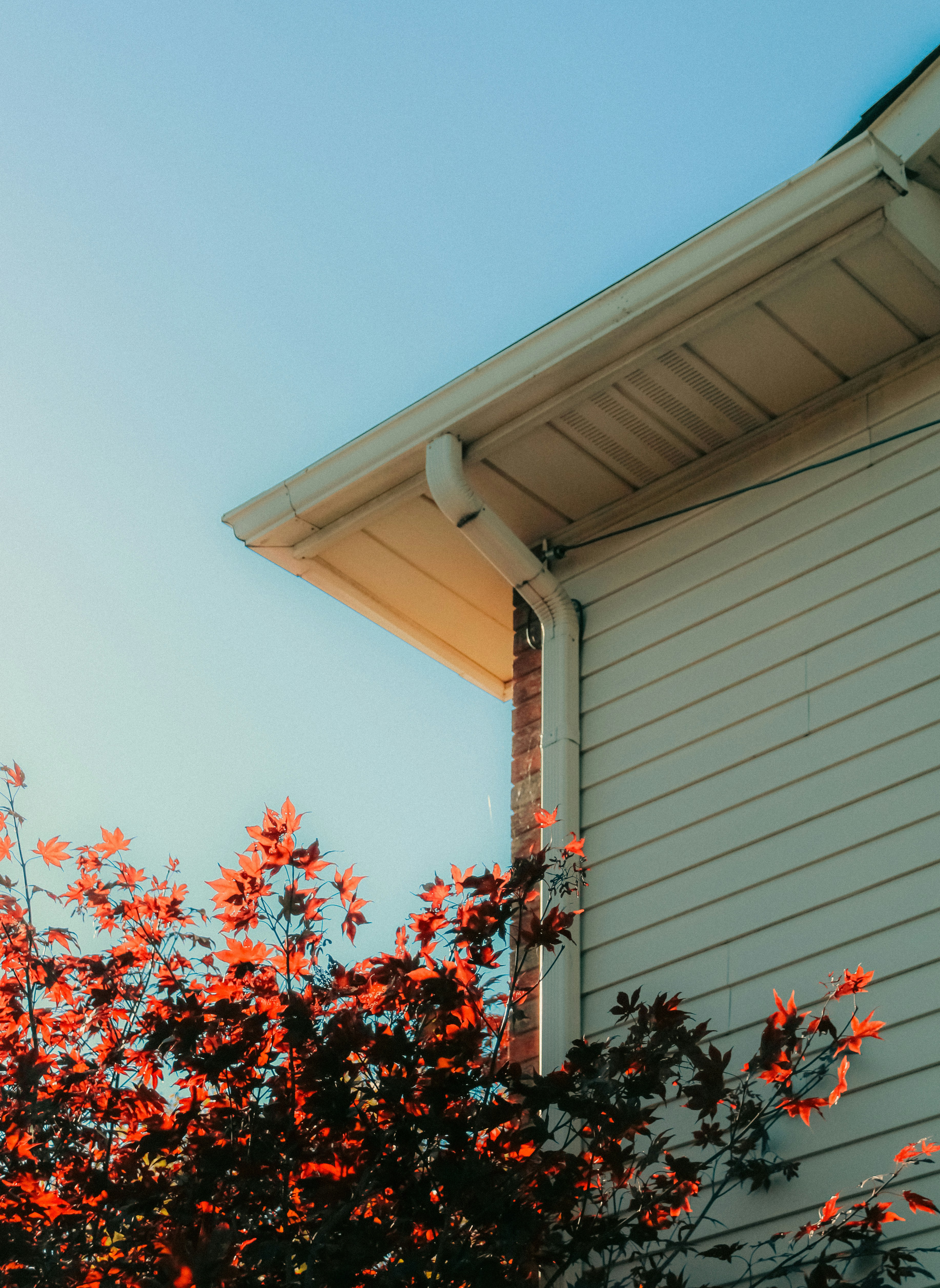 Photo by linusbelanger