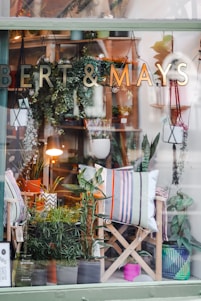 A display window of a store named Bert & Mays showcases an assortment of plants, decorative pillows, and other home decor items. Several potted plants are visible, arranged on shelves and hanging from the ceiling. The scene is enhanced with a lamp providing a warm light. The decor includes striped and patterned pillows placed on wooden chairs.
