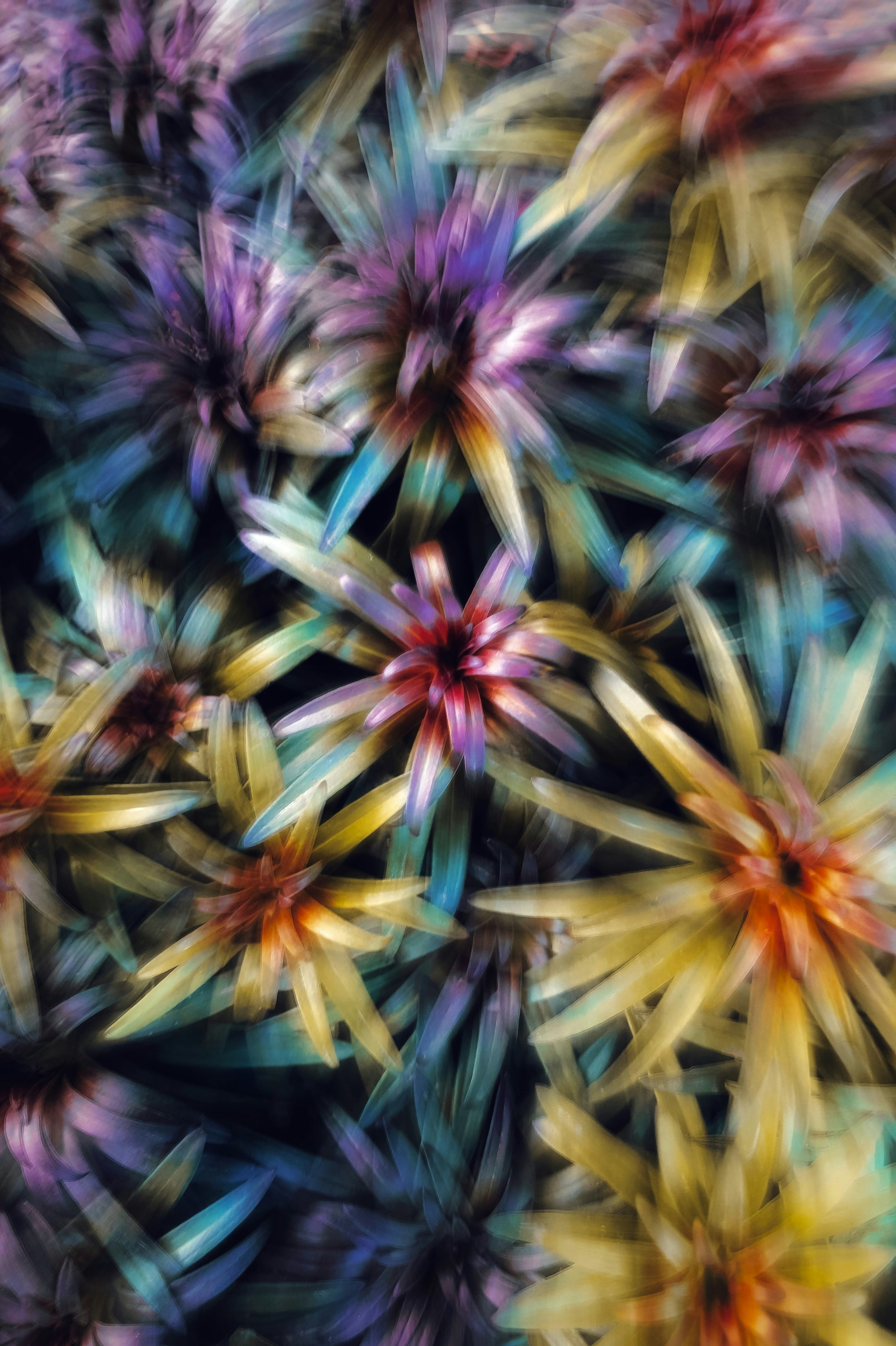 Photo by eugene_golovesov