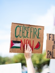 A hand is holding up a cardboard sign that reads 'Ceasefire Now' with green and red text, along with a design resembling a slice of watermelon and another with black, white, and red colors possibly representing a flag. Another sign is partially visible in the background.