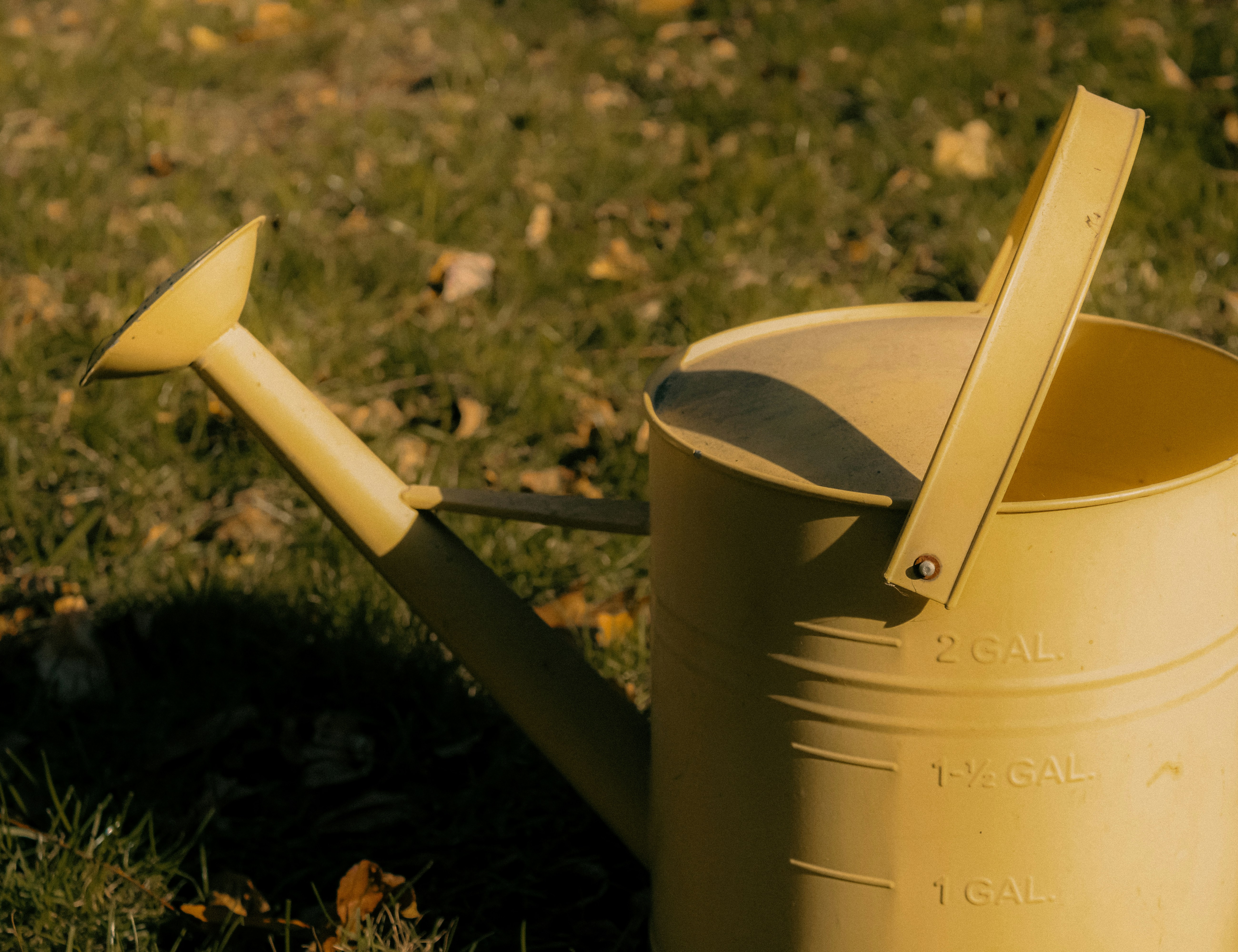 Photo by linusbelanger