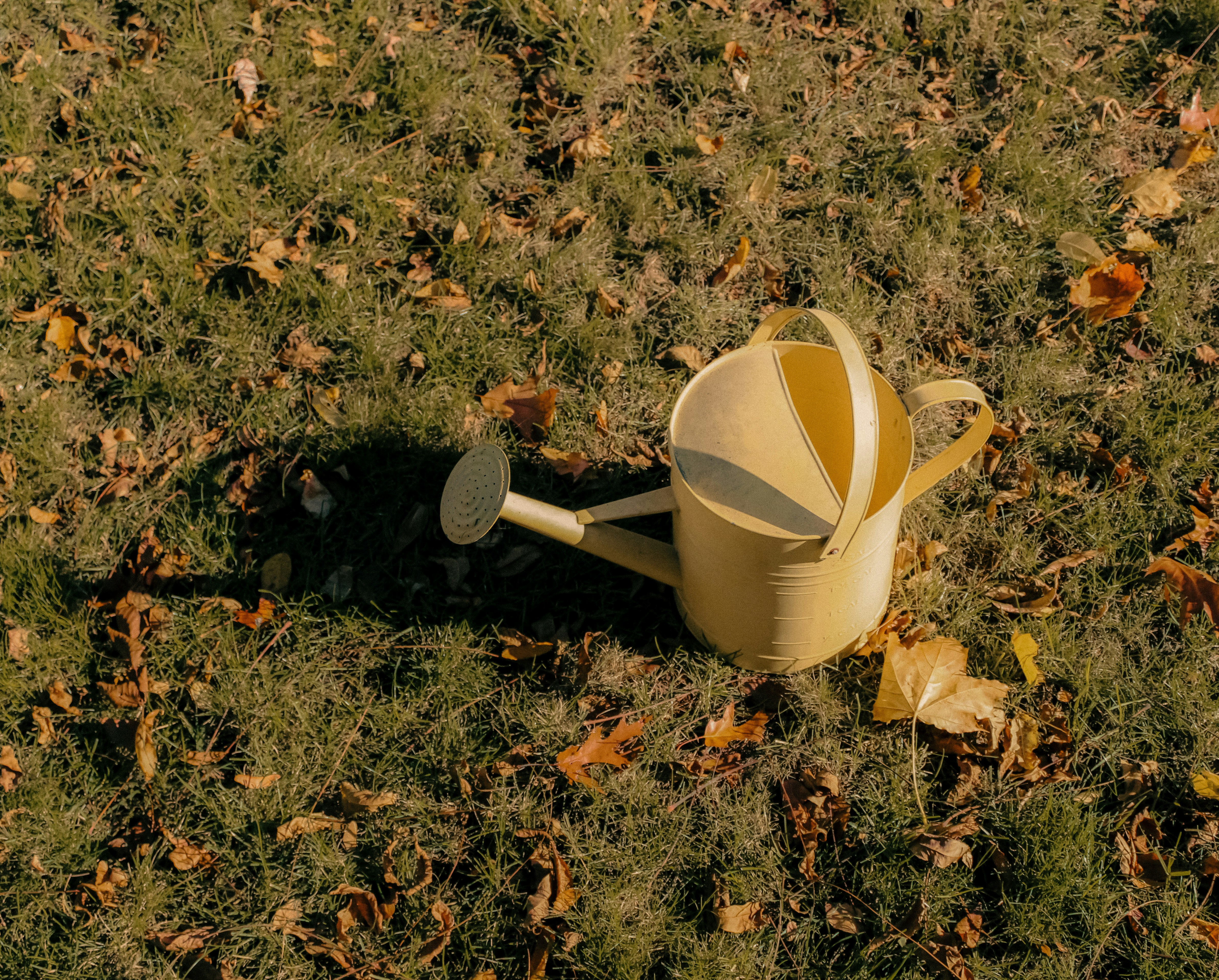 Photo by linusbelanger