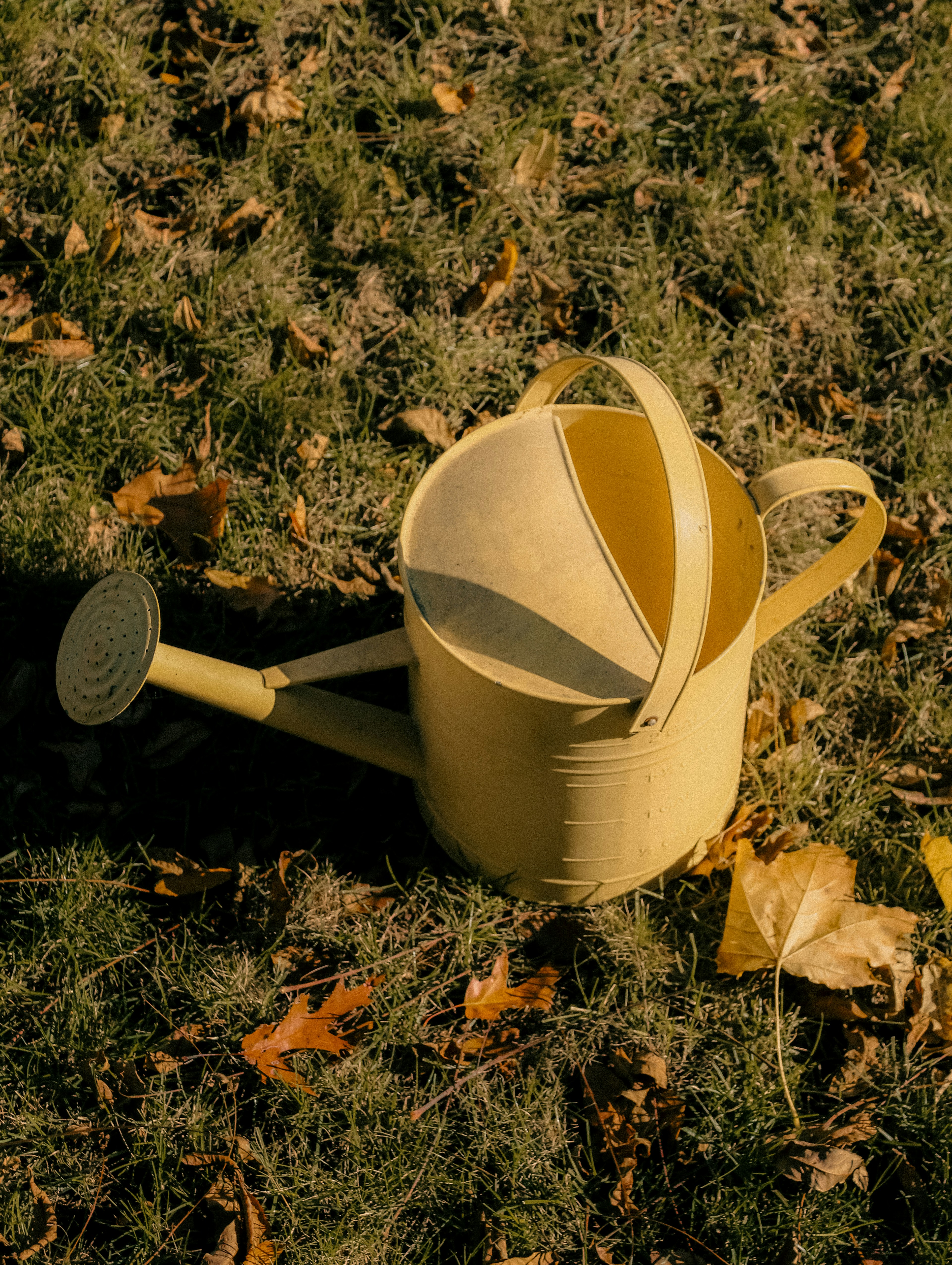 Photo by linusbelanger