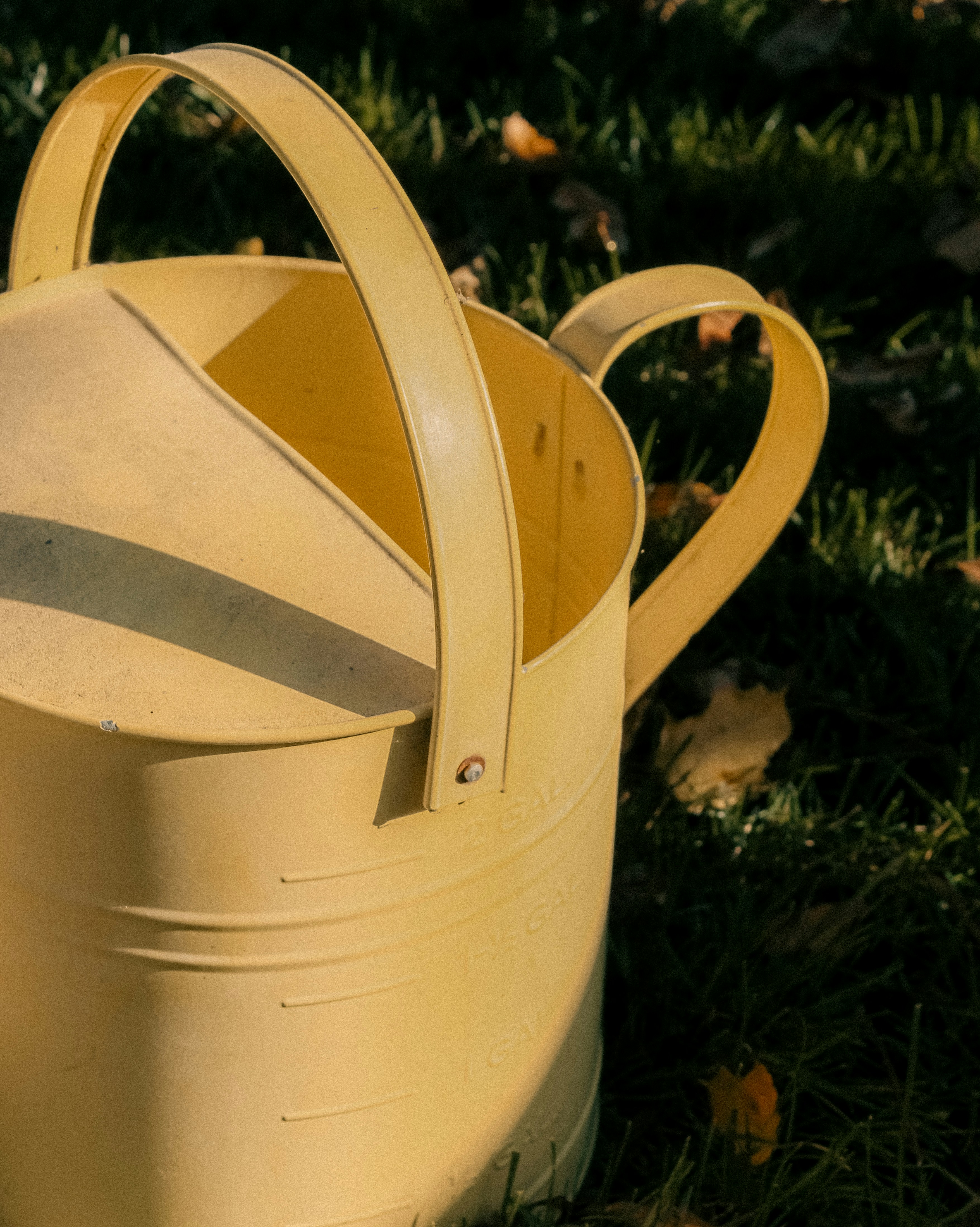 Photo by linusbelanger