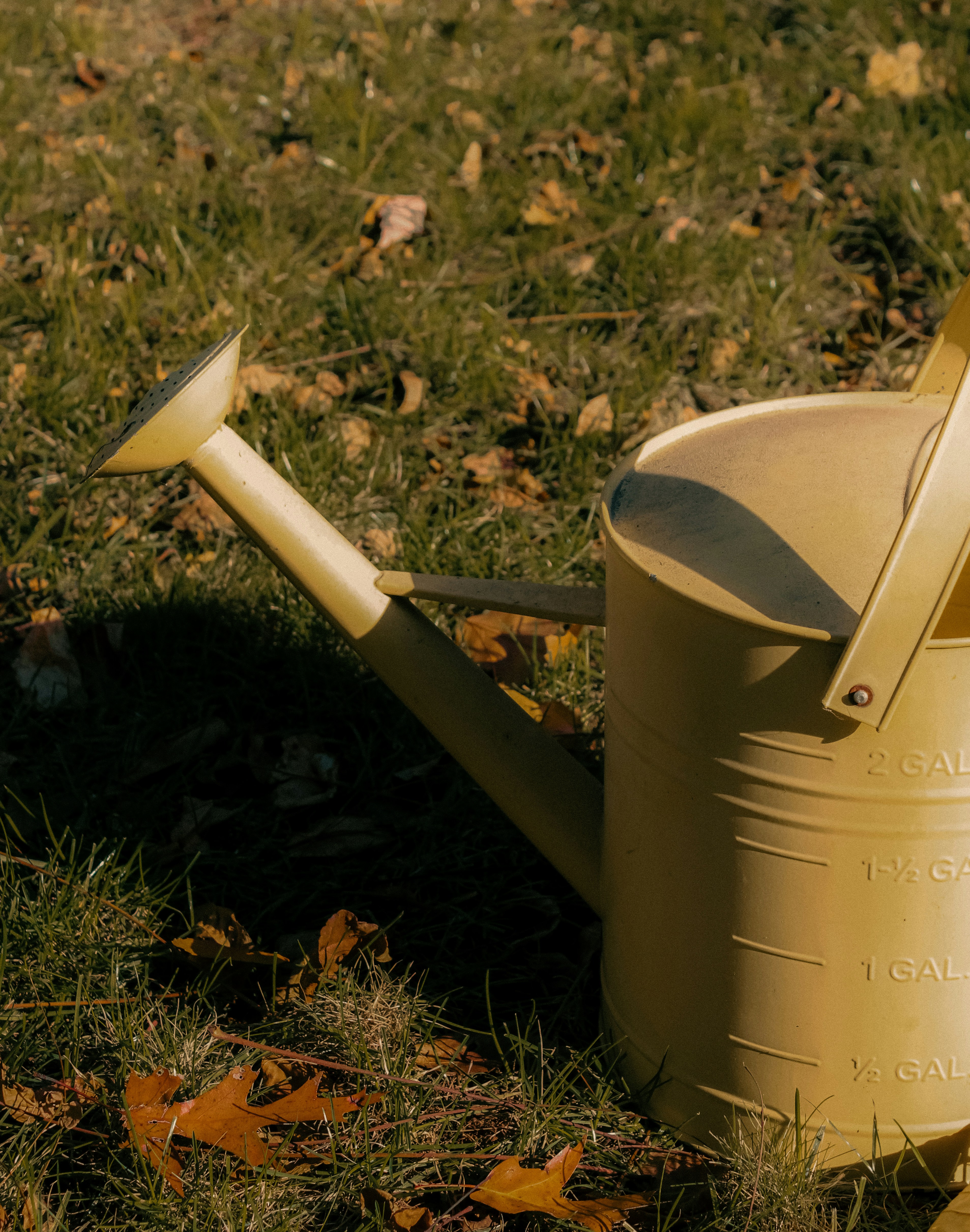 Photo by linusbelanger