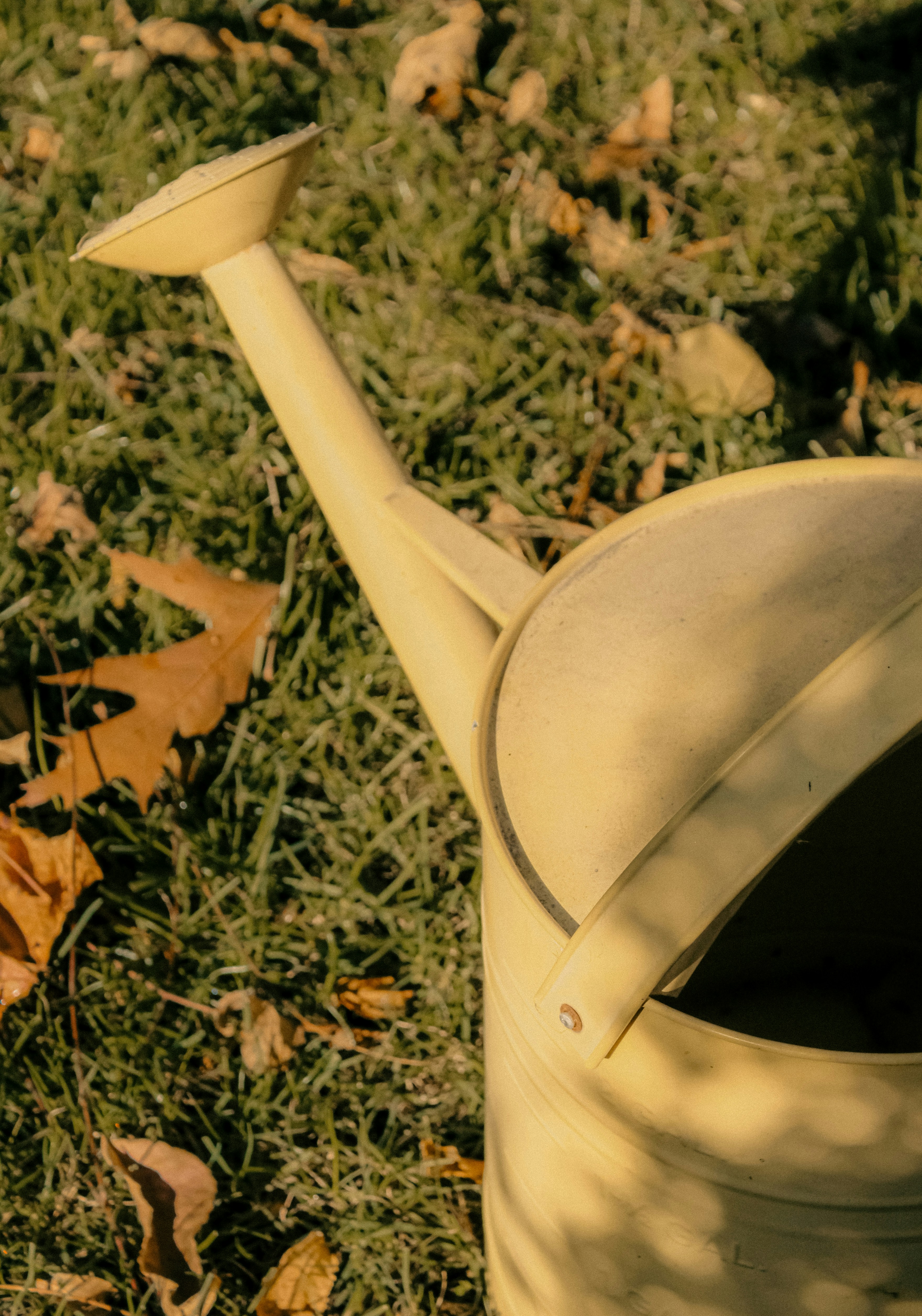 Photo by linusbelanger