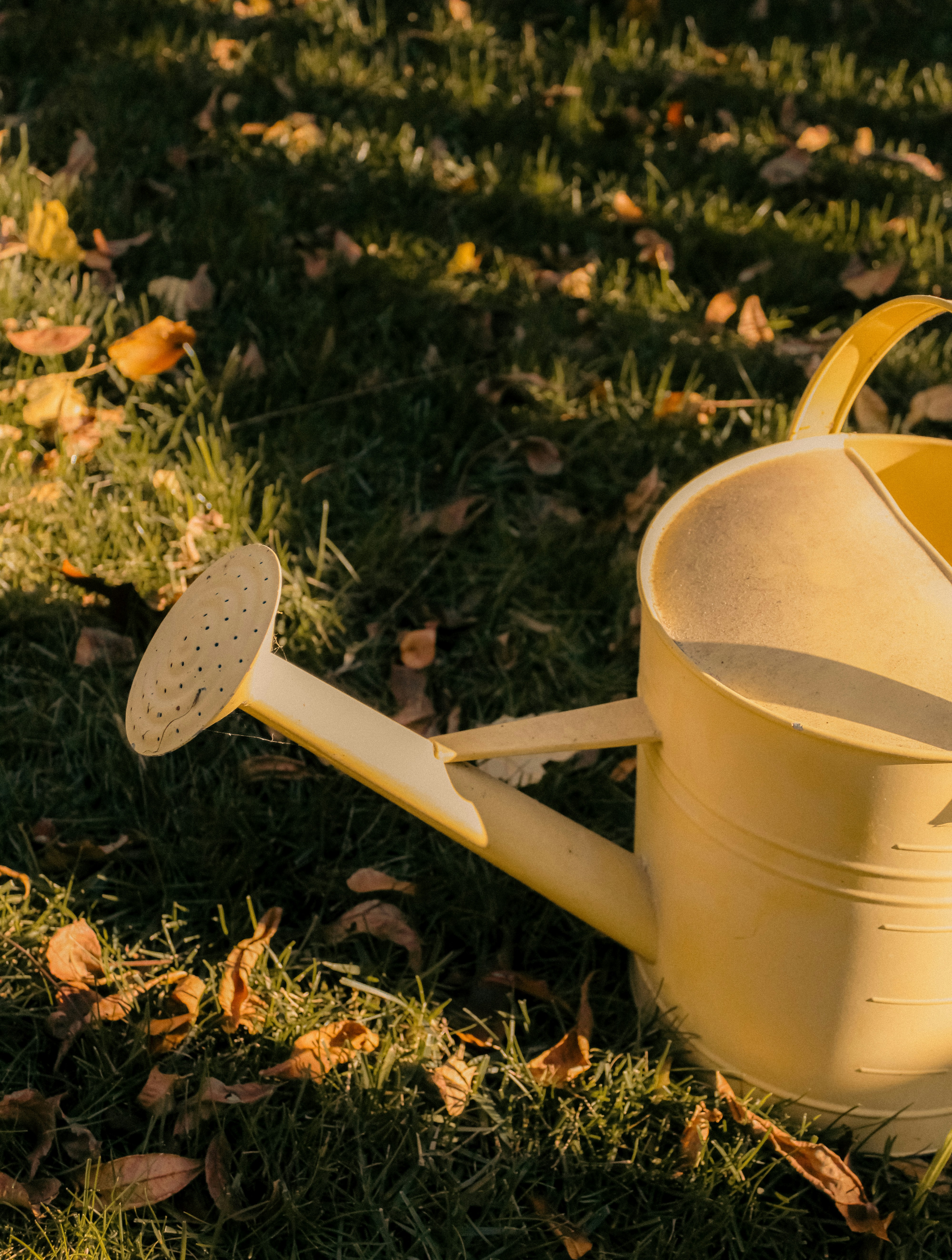 Photo by linusbelanger