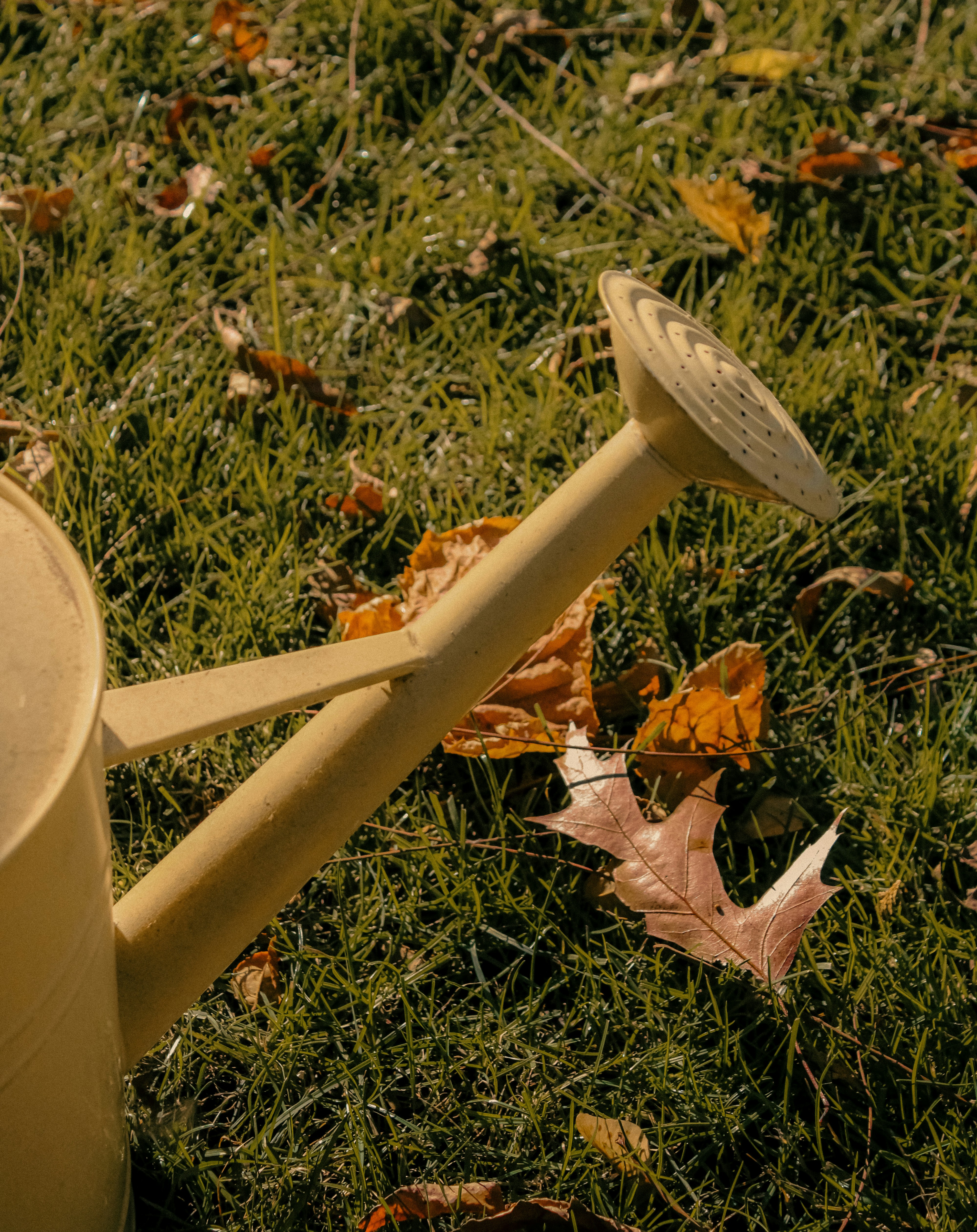 Photo by linusbelanger