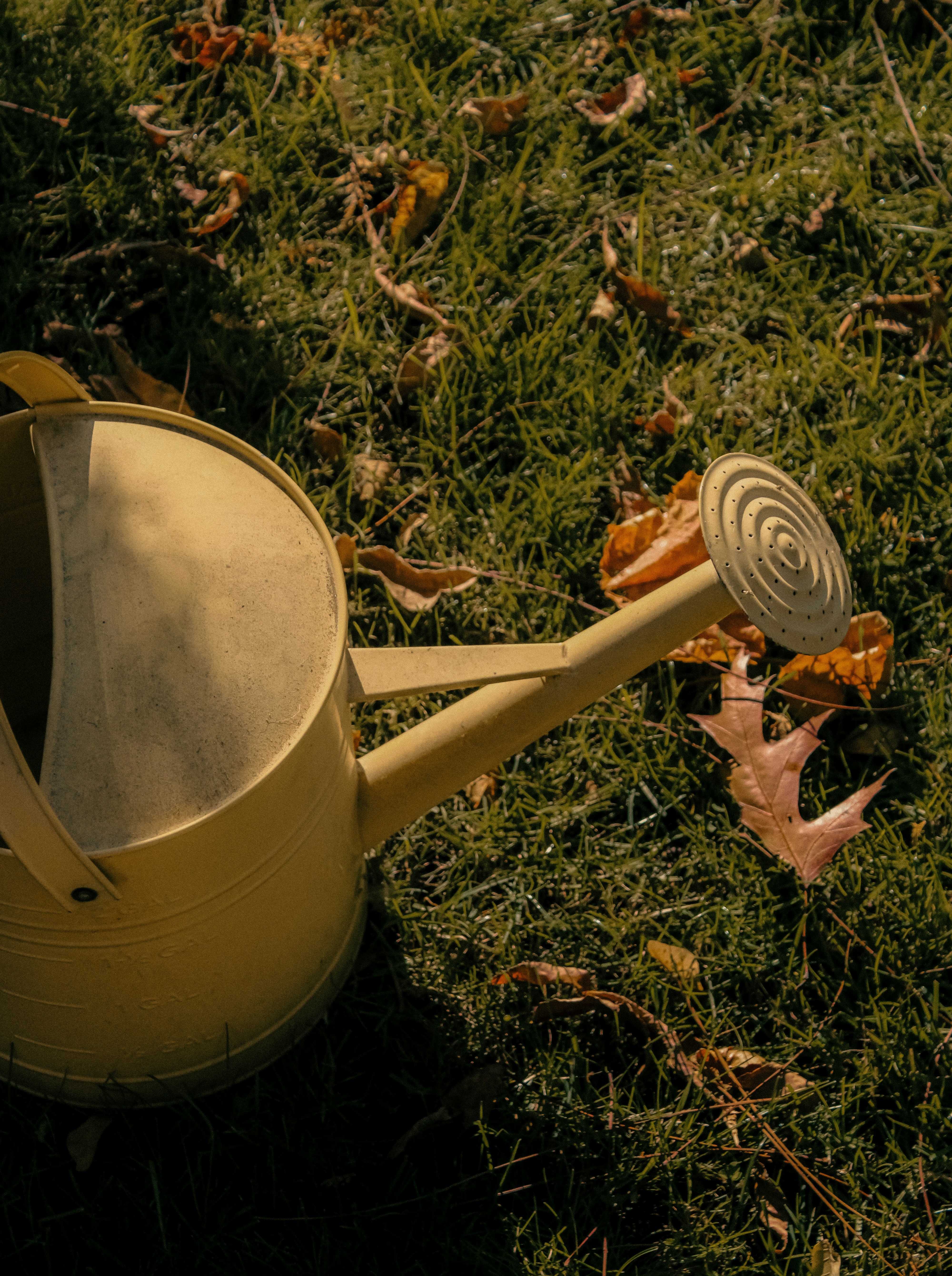 Photo by linusbelanger