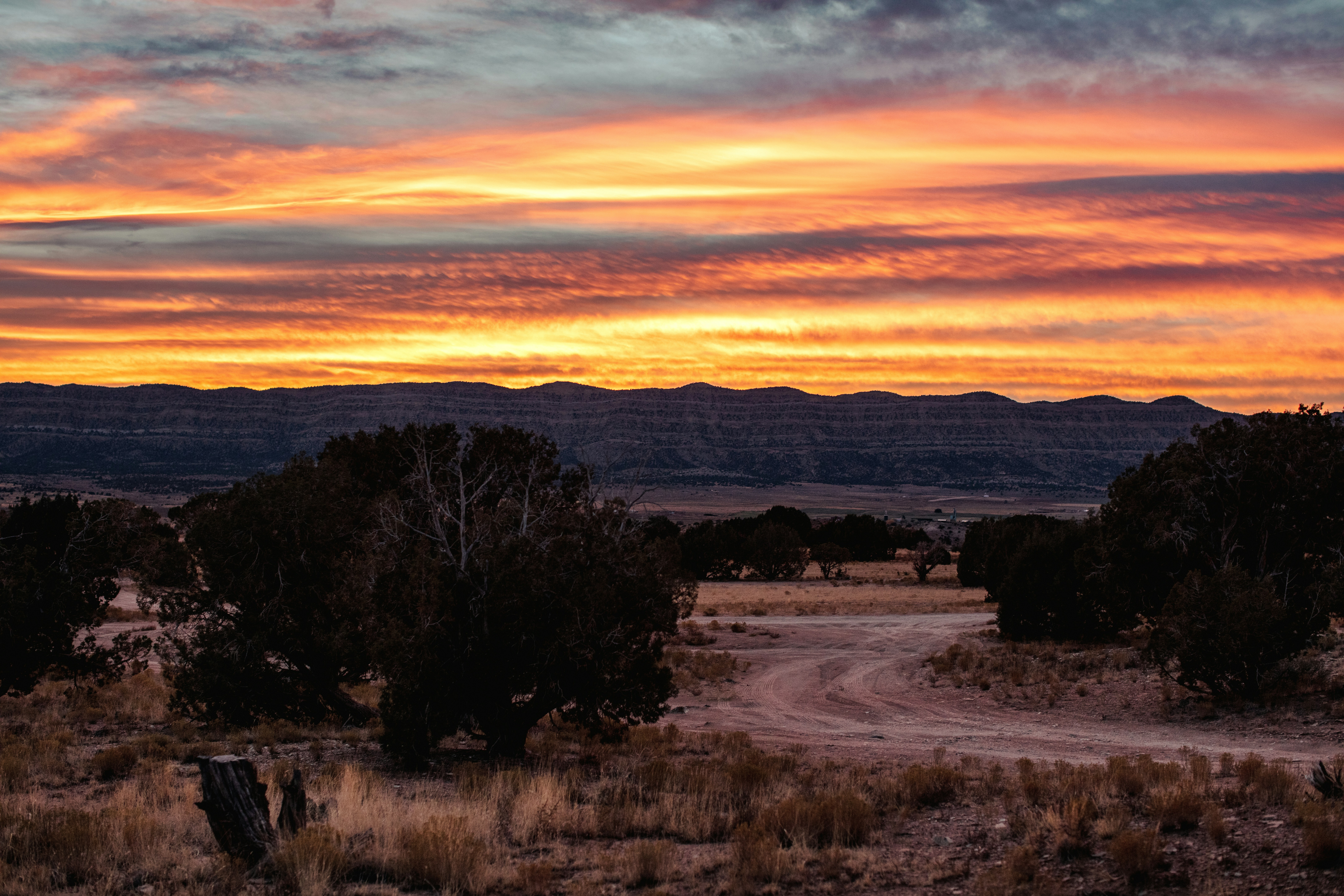 Photo by worldsbetweenlines