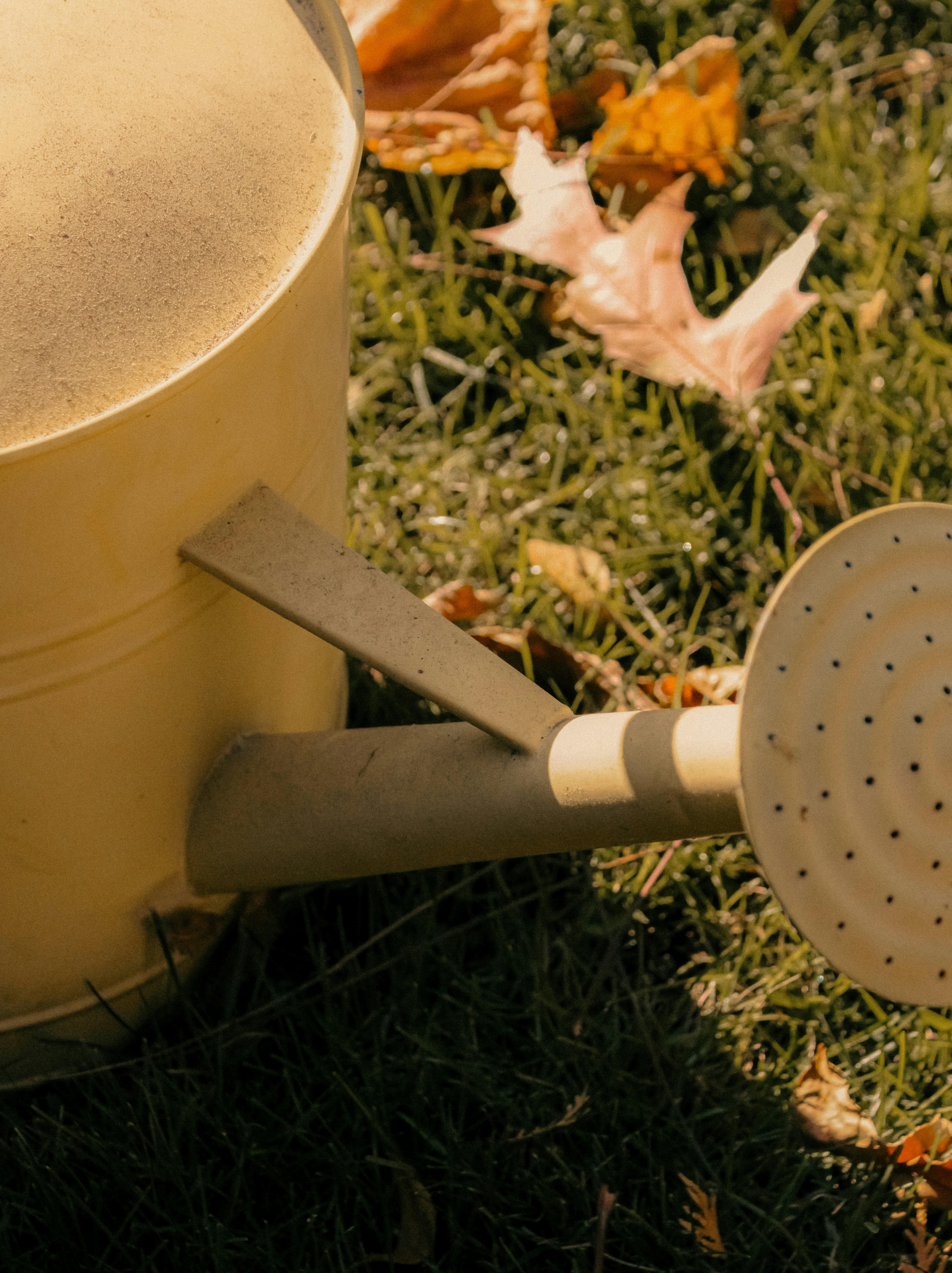 Photo by linusbelanger