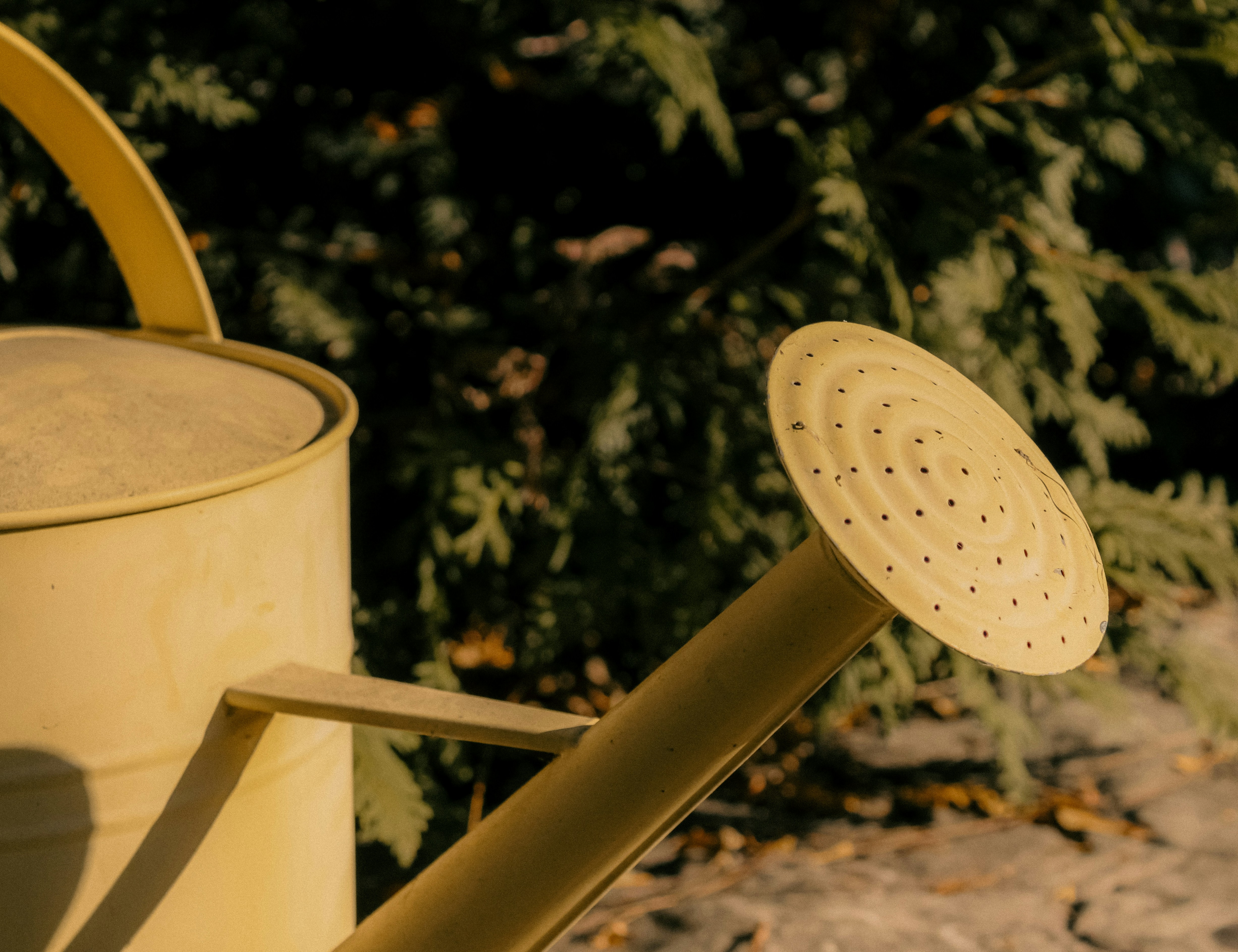 Photo by linusbelanger