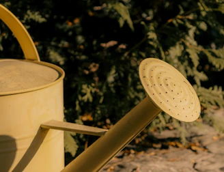 A sturdy watering can with a long spout pouring water gently over blooming garden flowers