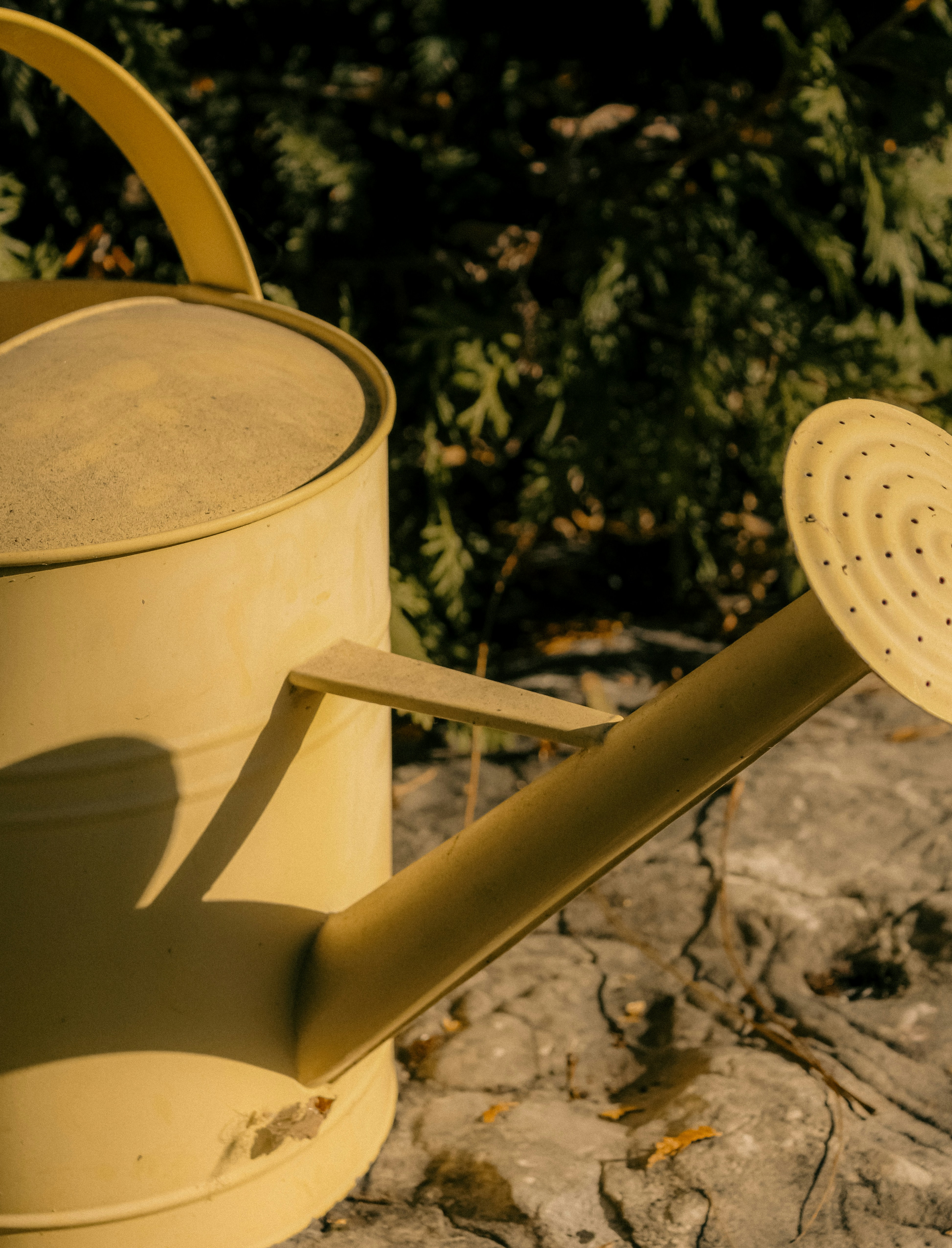 Photo by linusbelanger