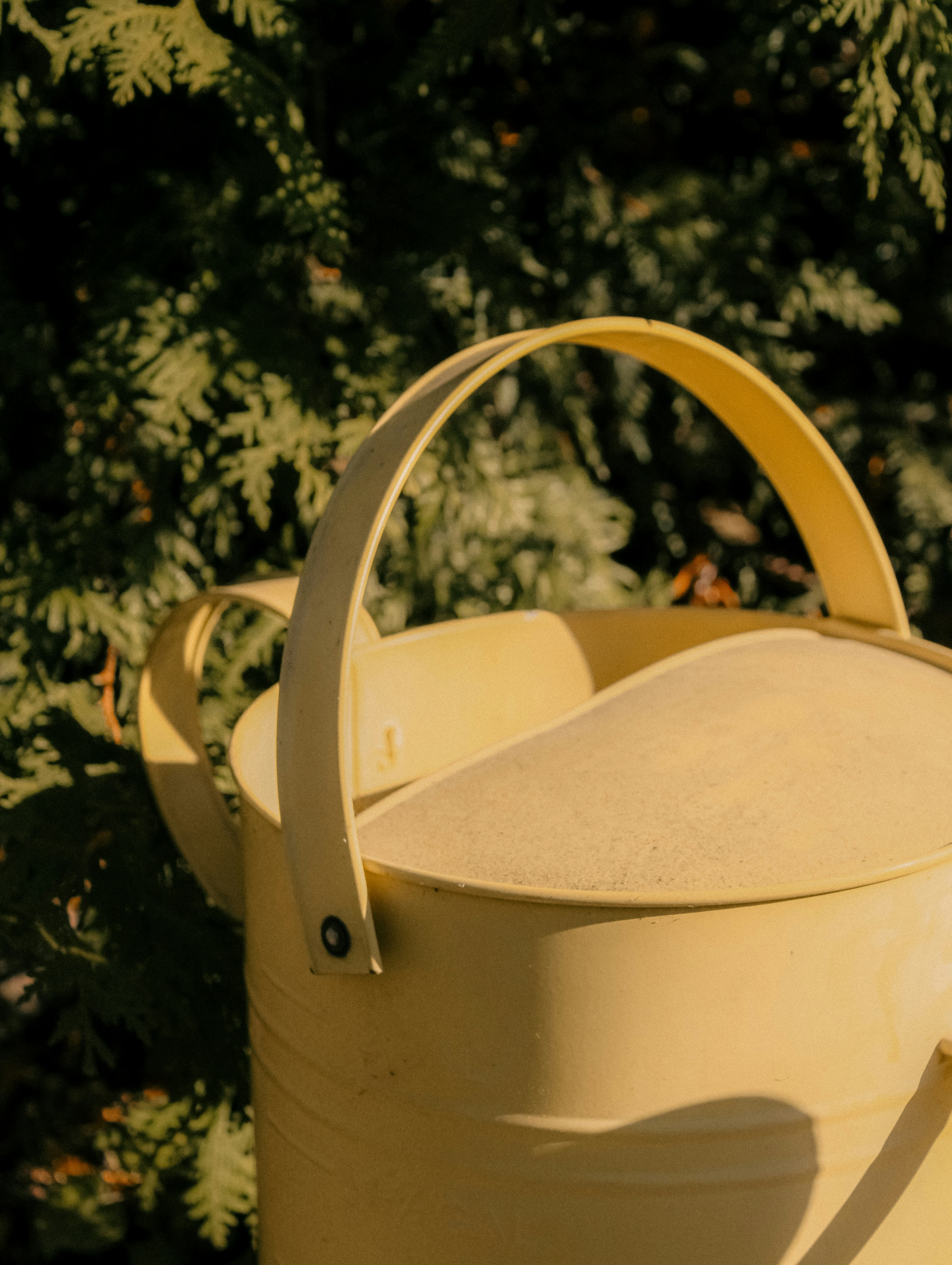 Photo by linusbelanger