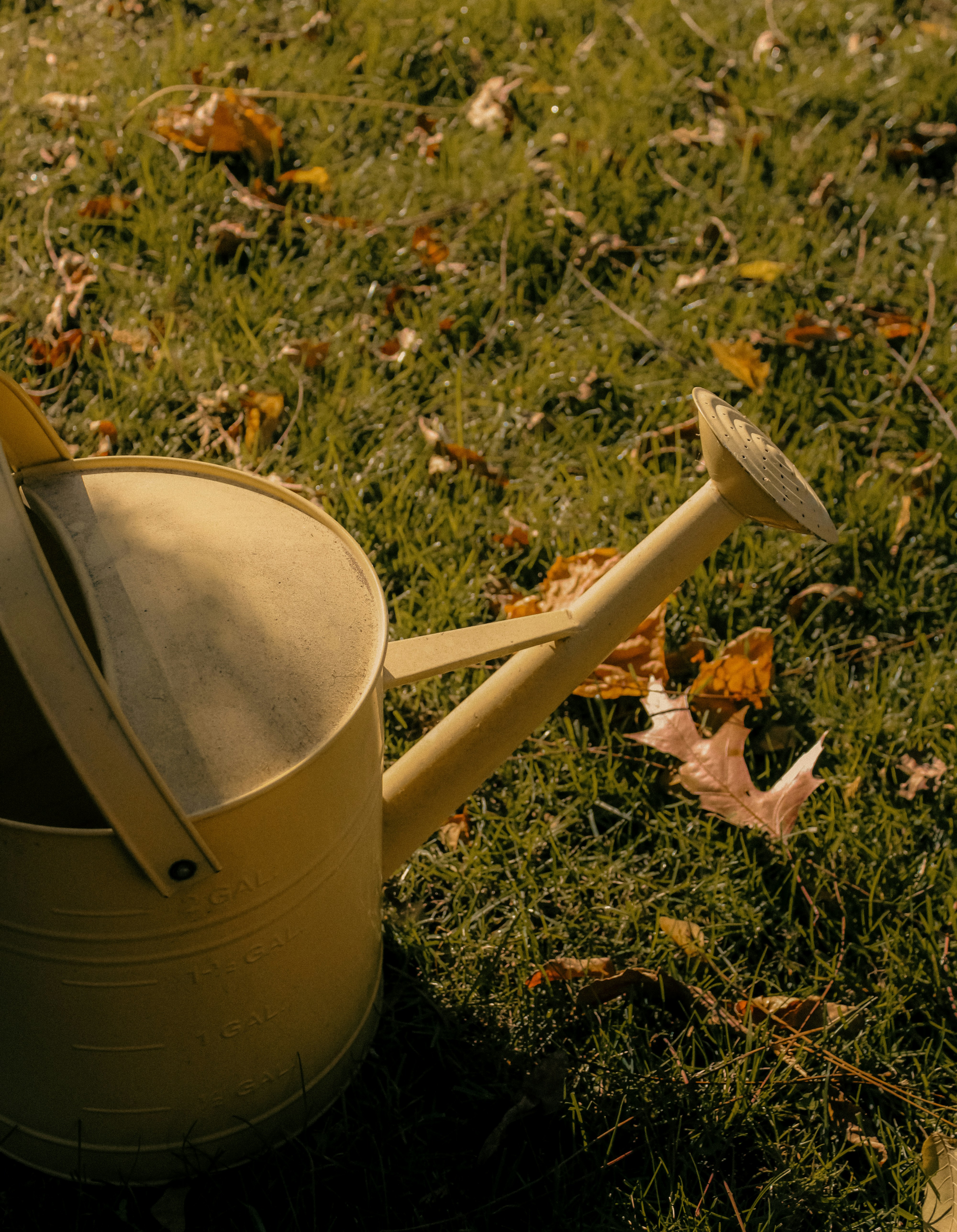 Photo by linusbelanger