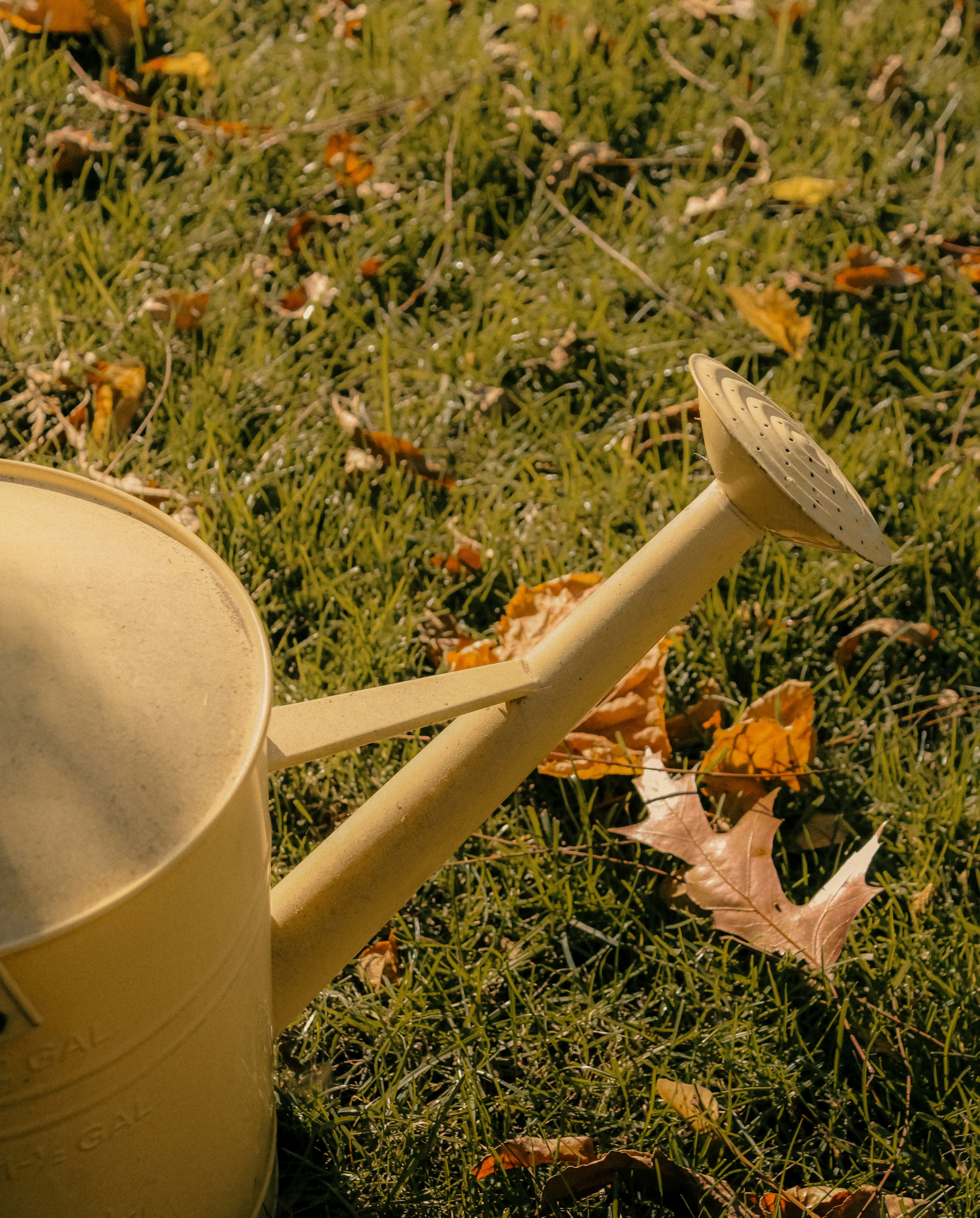 Photo by linusbelanger