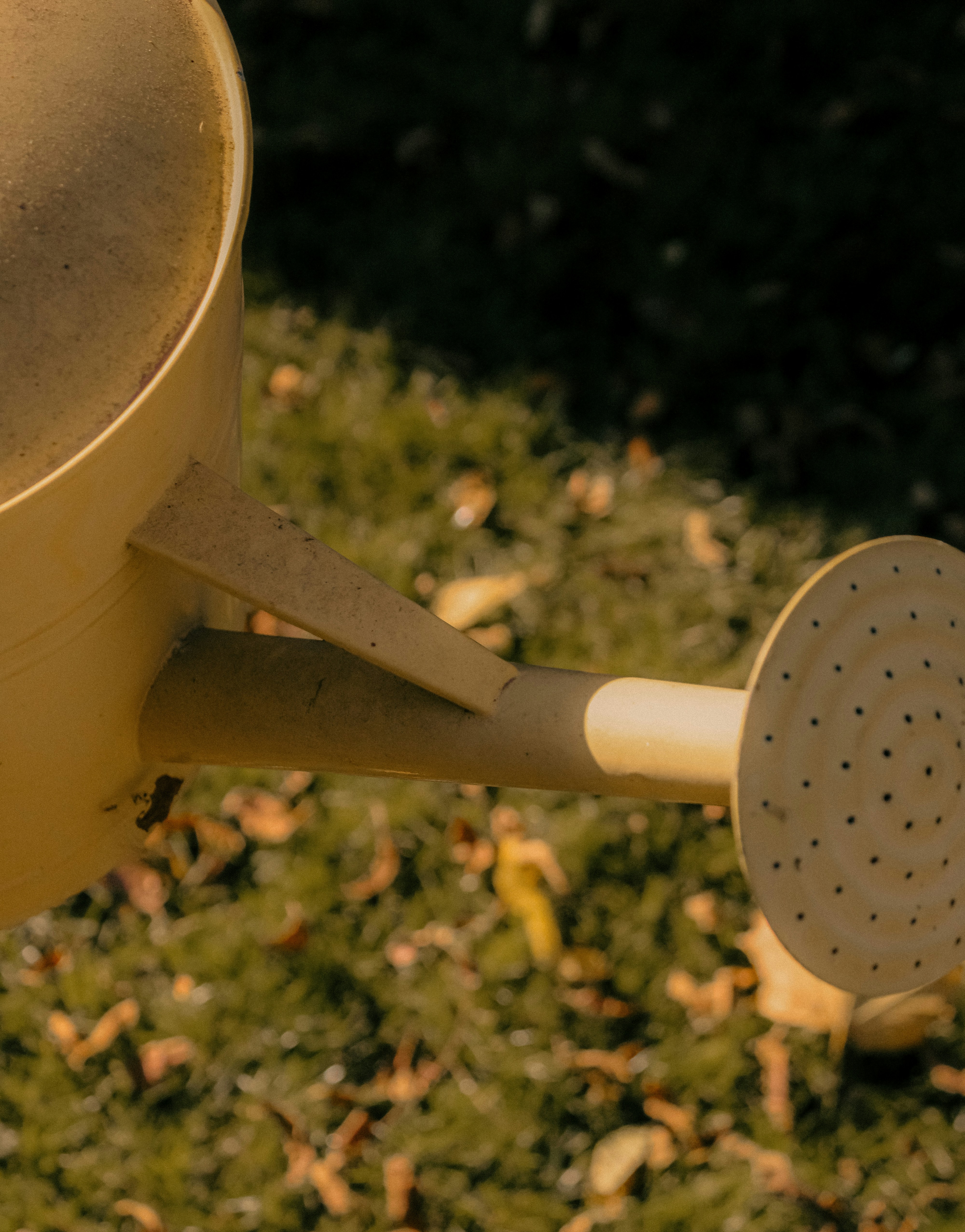 Photo by linusbelanger