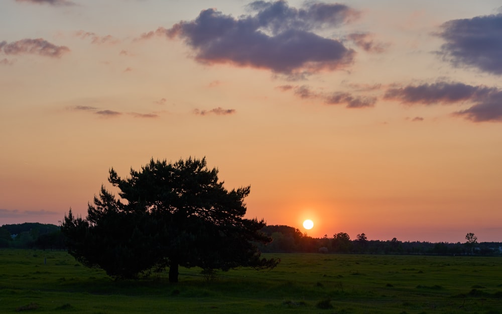 the sun is setting behind a tree in a field