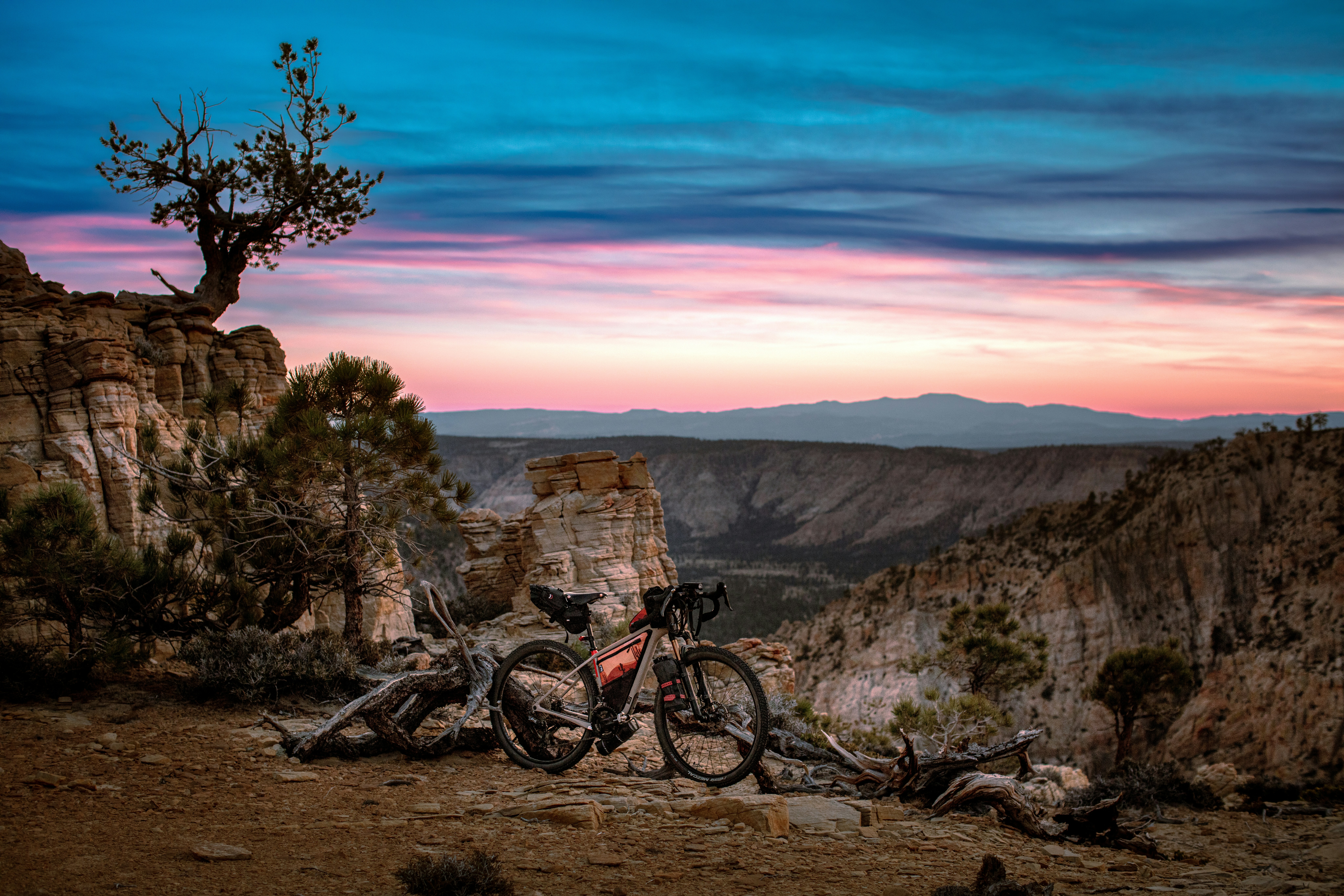 a bike parked on top of a mountain next to a tree