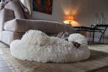 A cozy modern dog bed with plush cushions in a softly lit room