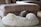 A dog is comfortably sleeping in a fluffy beige dog bed positioned next to a brown suede sofa. The setting appears cozy and calm, with soft furnishings and muted tones creating a peaceful atmosphere.