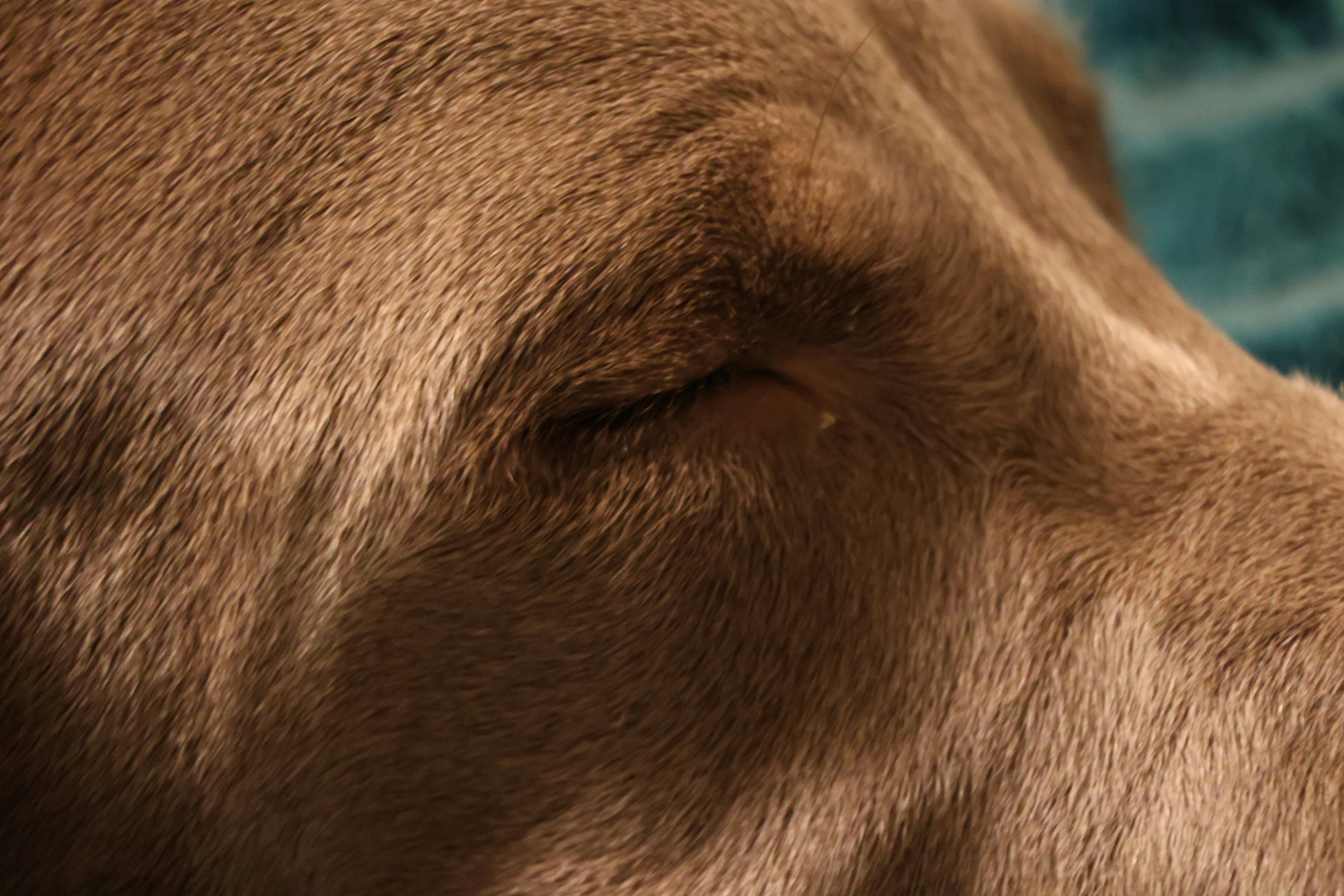 The Nose as a Stress Filter