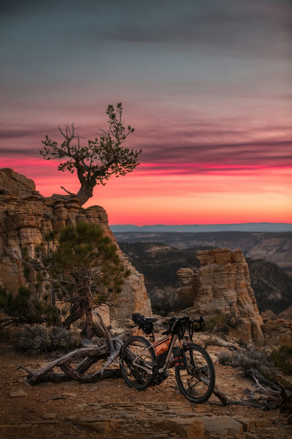 a bike parked on top of a mountain next to a tree