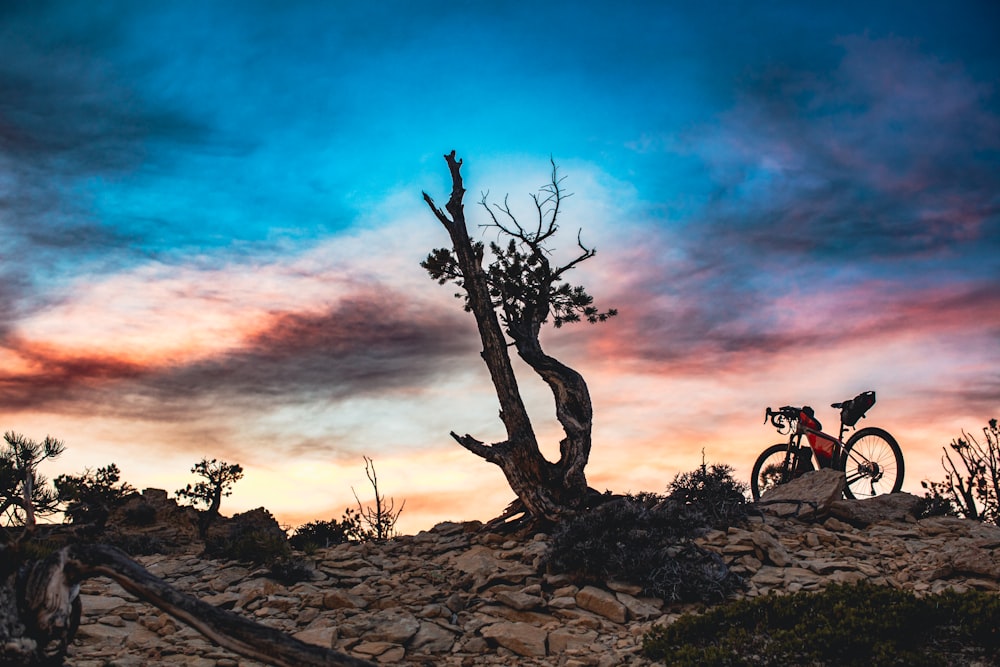 una persona su una bicicletta su una collina rocciosa
