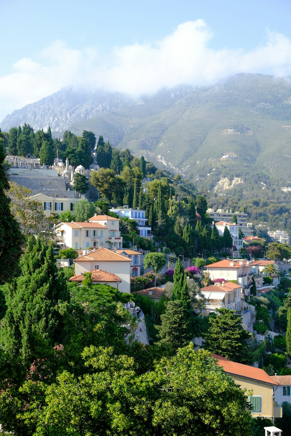 a view of a town with mountains in the background