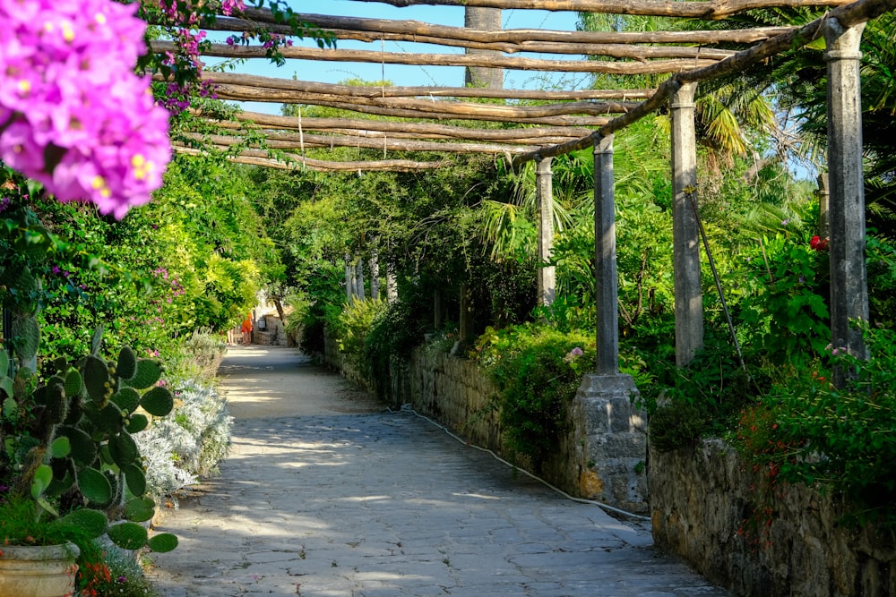 a walkway lined with lots of plants and flowers