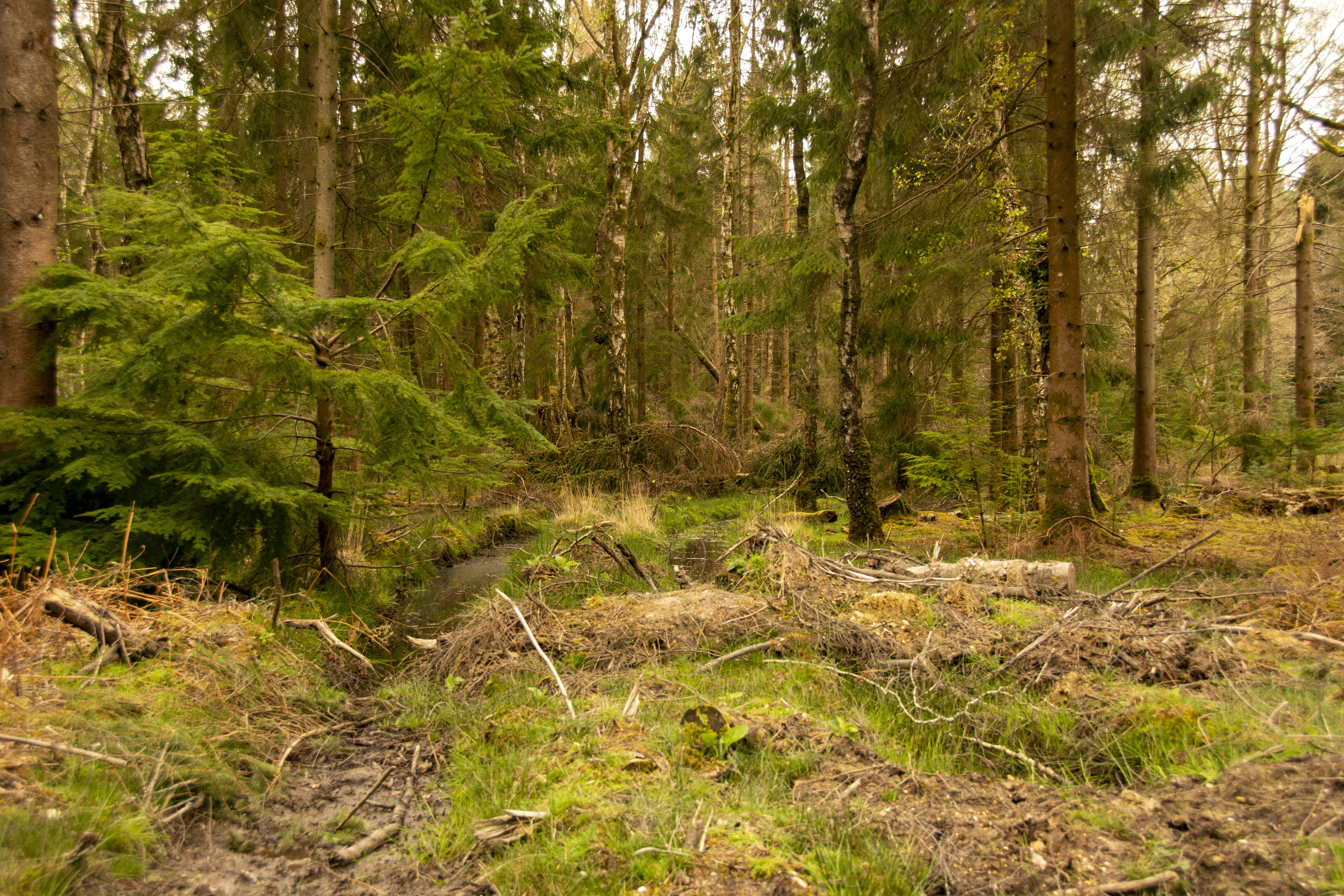 Photo by jeffcooperdesign