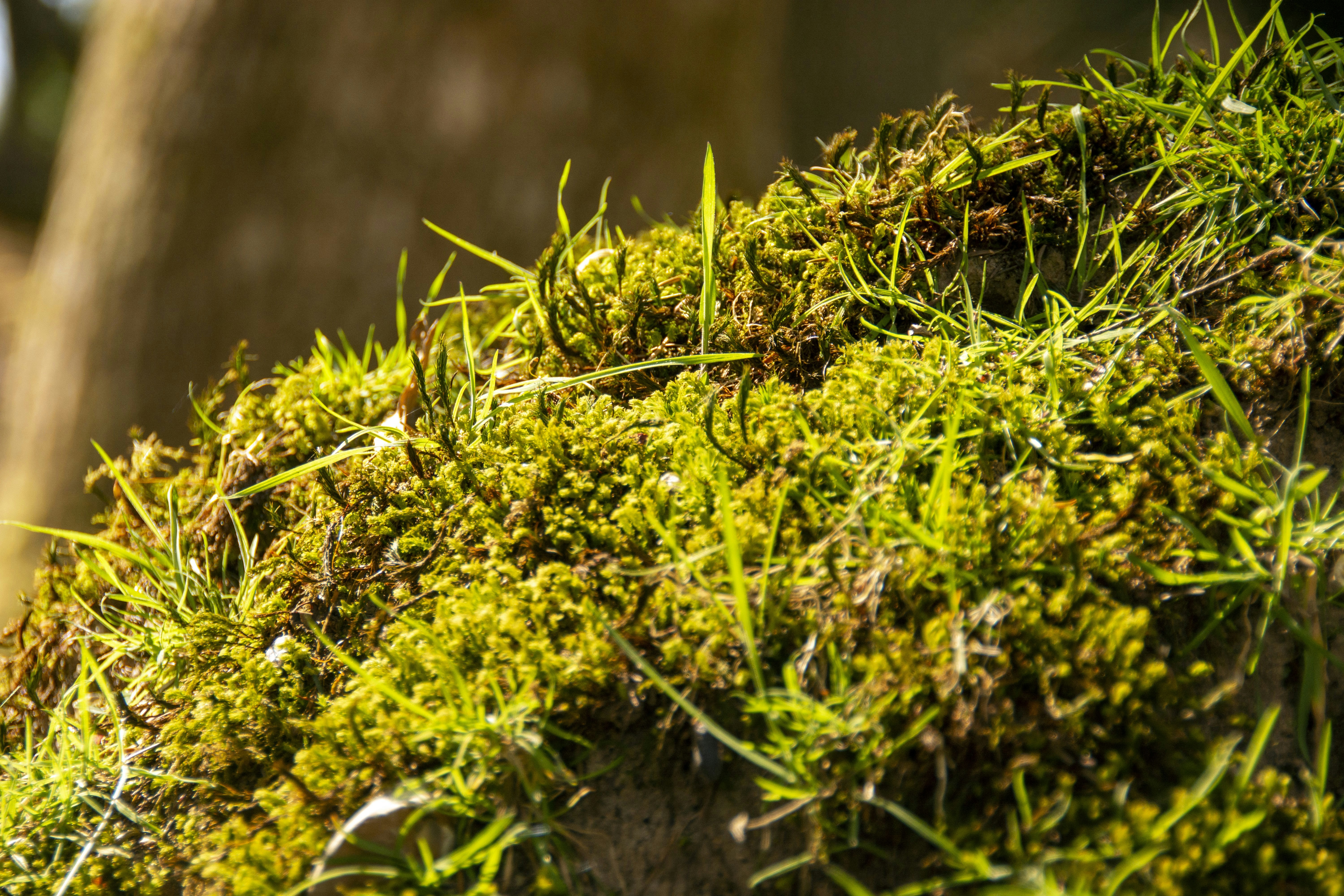 Photo by jeffcooperdesign