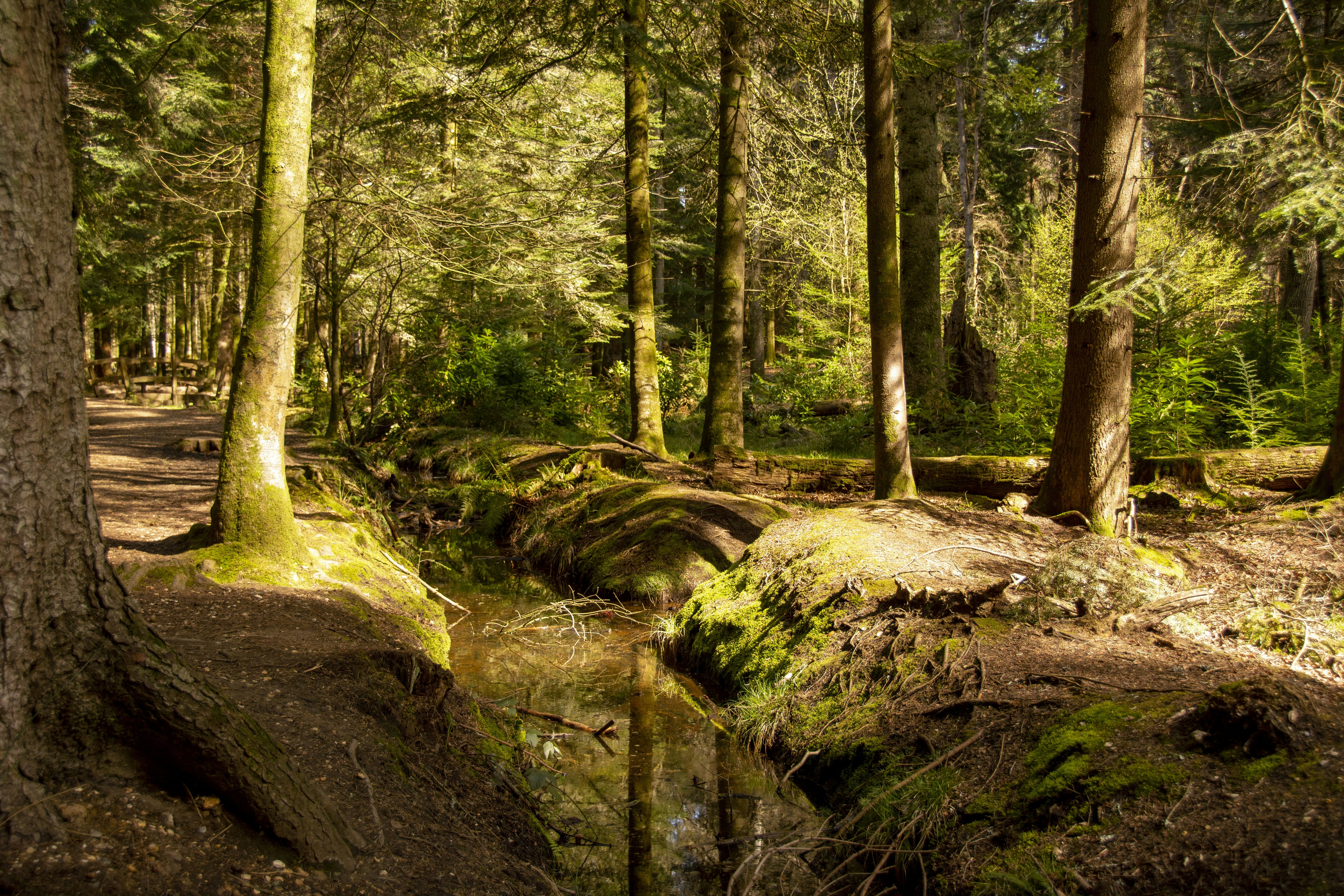 Photo by jeffcooperdesign