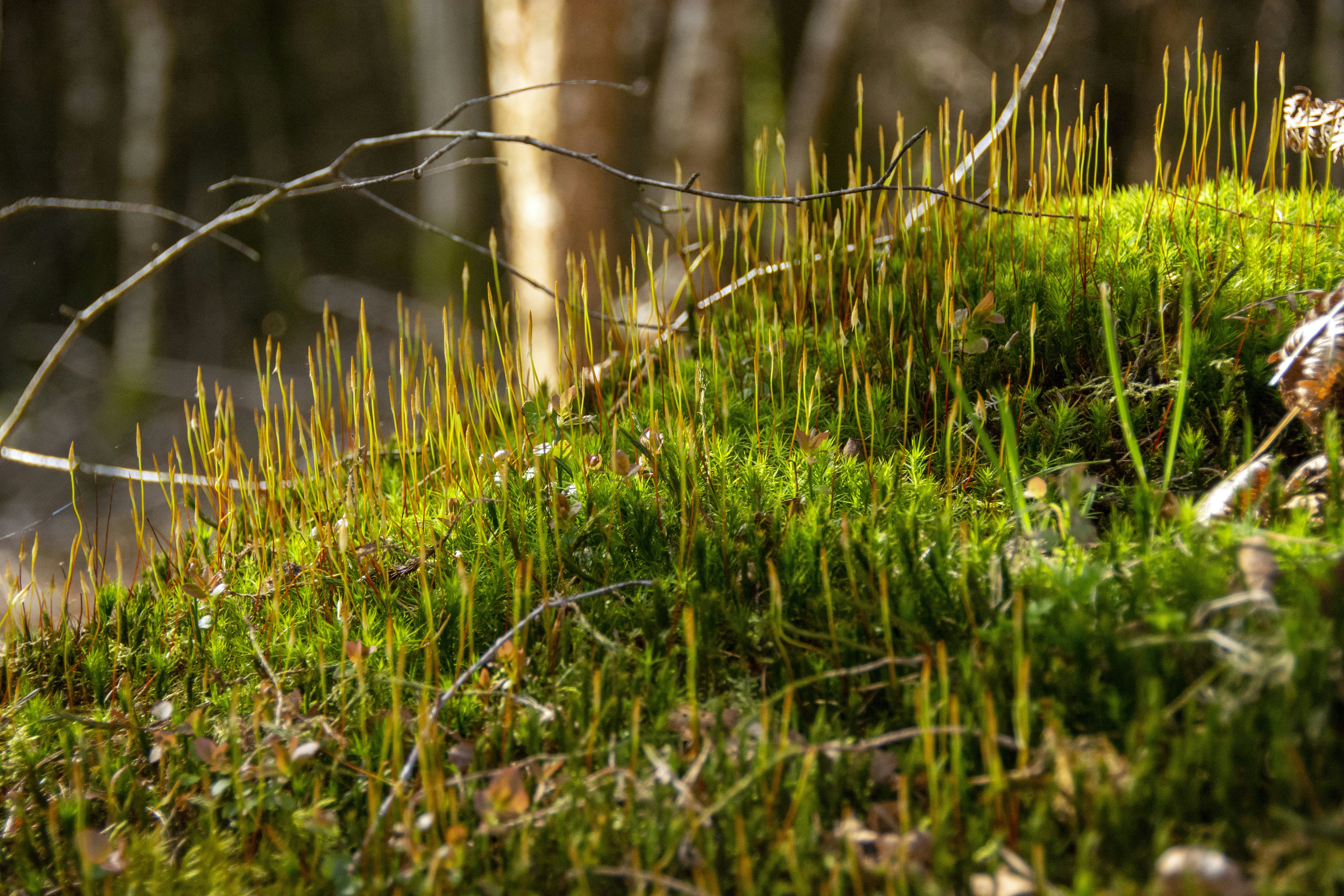 Photo by jeffcooperdesign