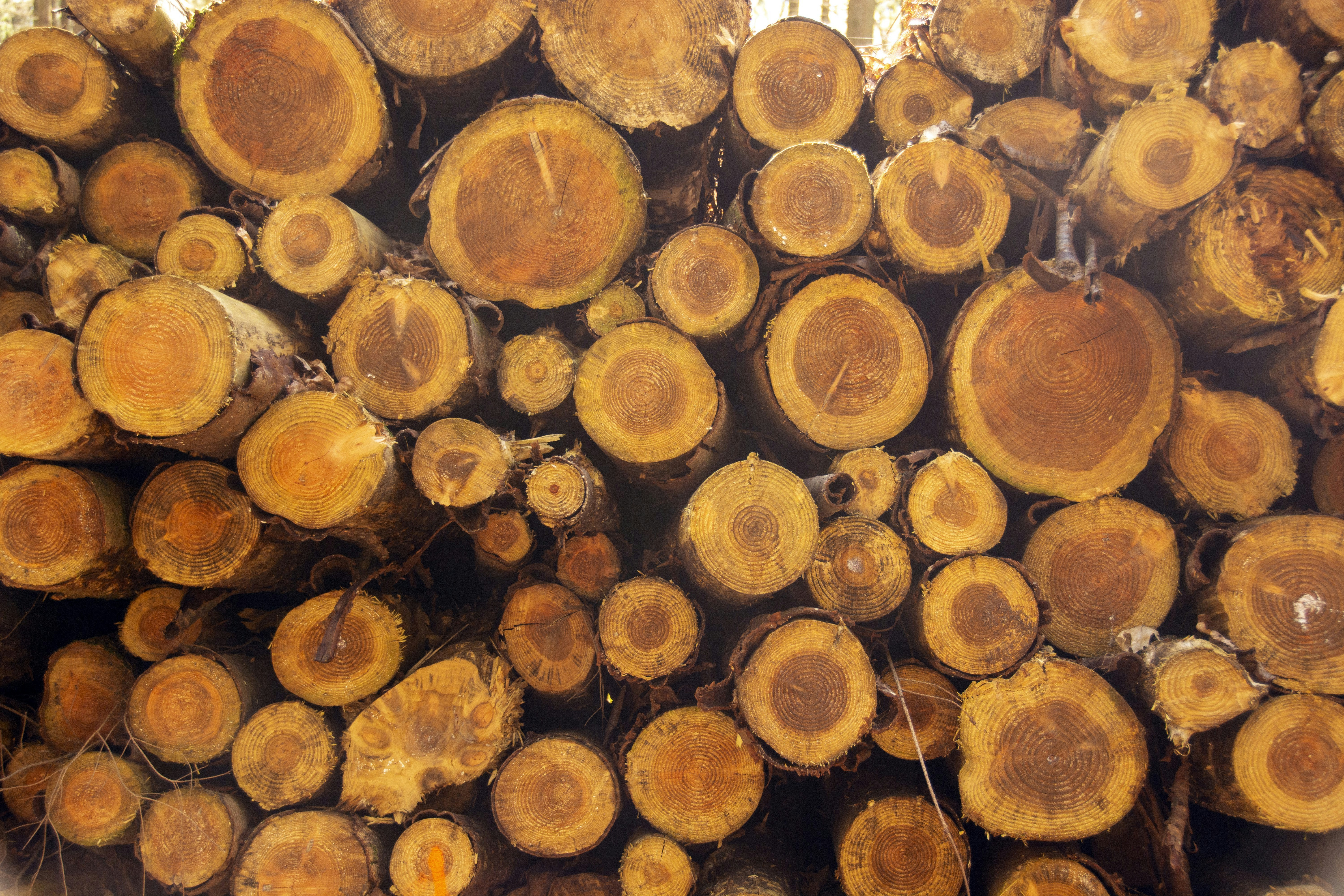 Photo by jeffcooperdesign