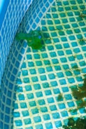 The image features the interior of an empty swimming pool with a grid-like pattern of blue squares. There is a green water gun lying on the bottom of the pool. Some area on the pool floor and walls have dark patches, likely indicating dirt or mold.