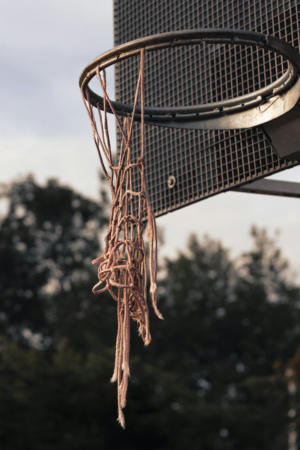 a close up of a basketball hoop with a tree in the background