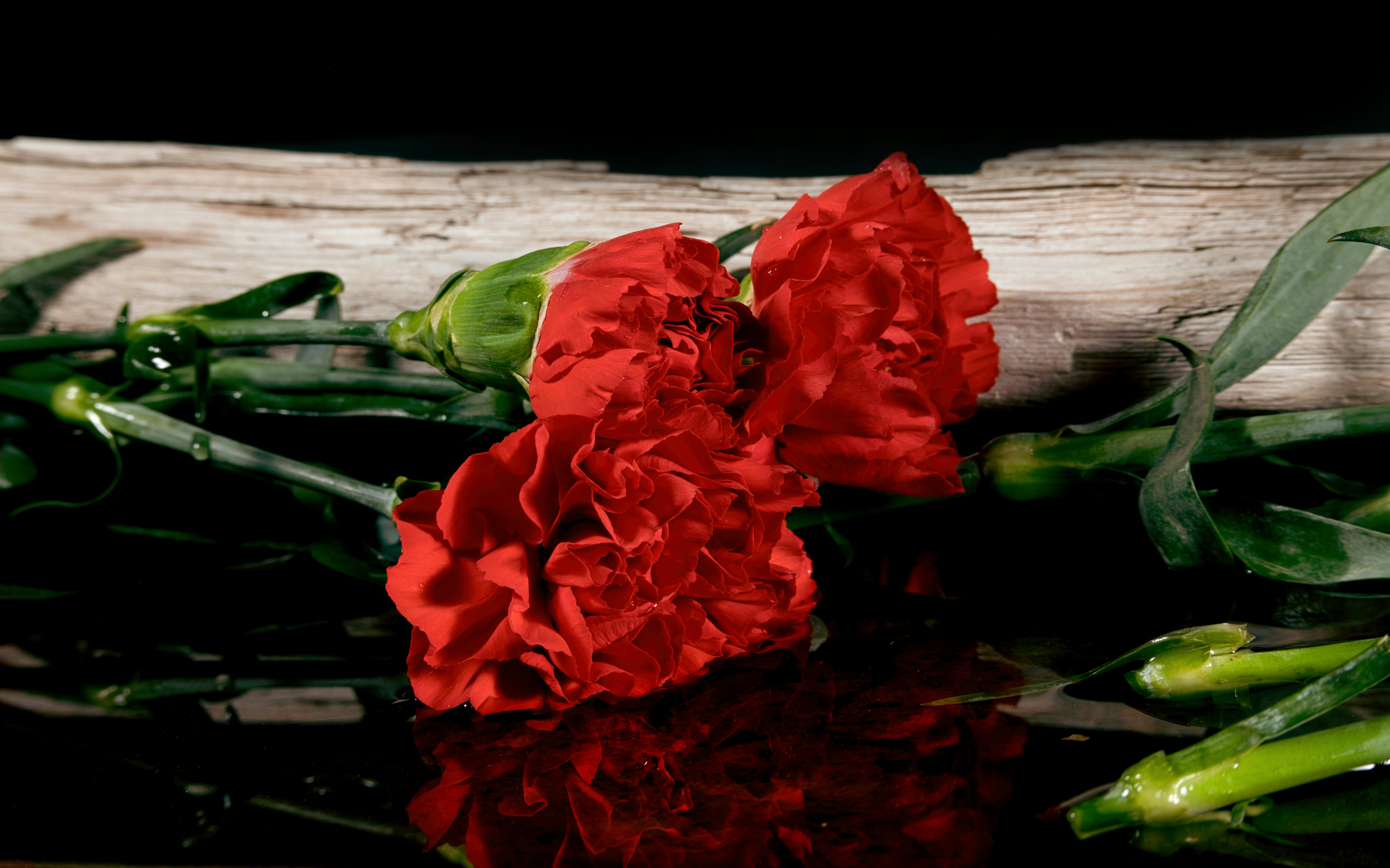 two red flowers sitting on top of a table