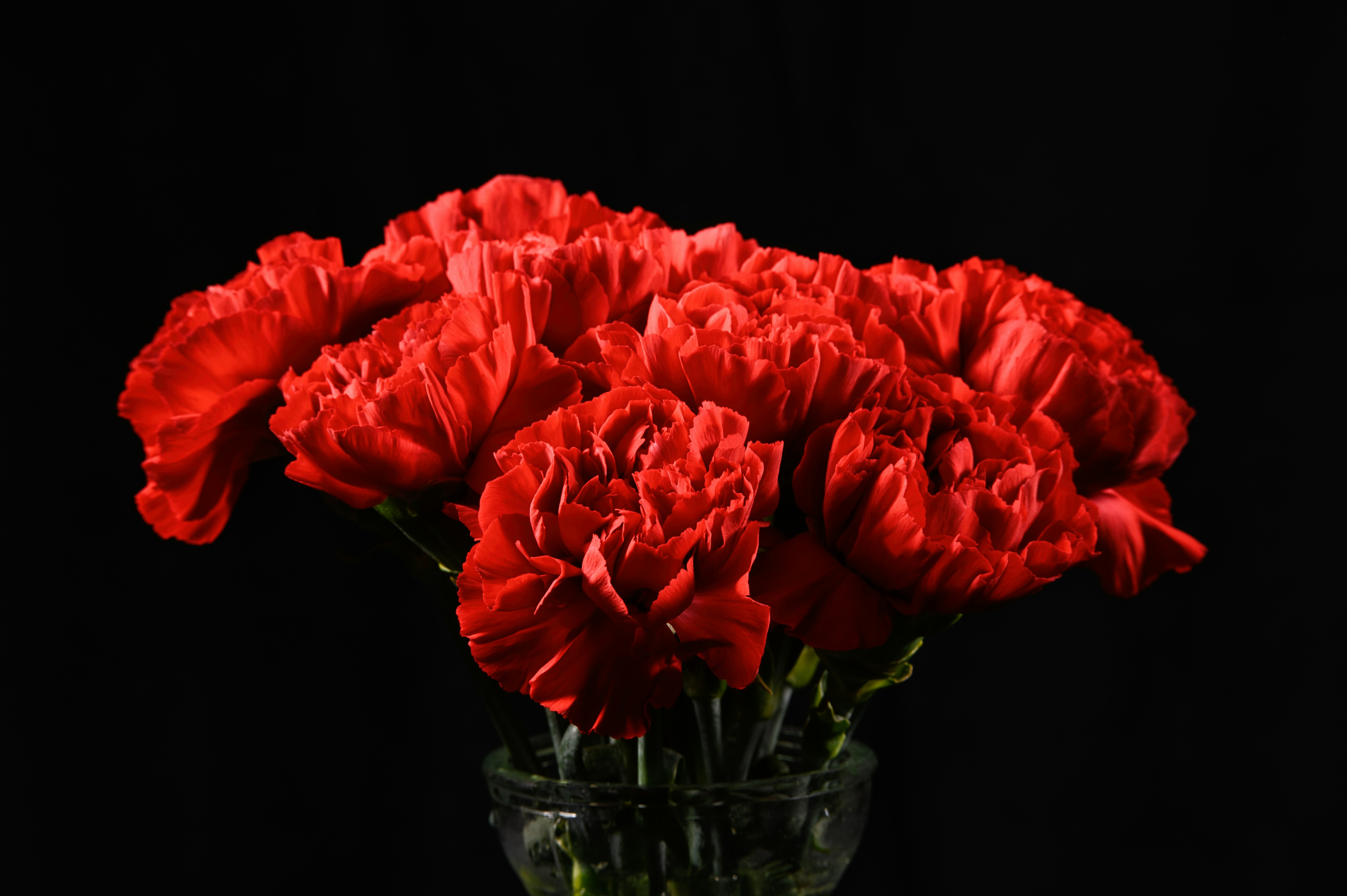 a vase filled with red flowers against a black background