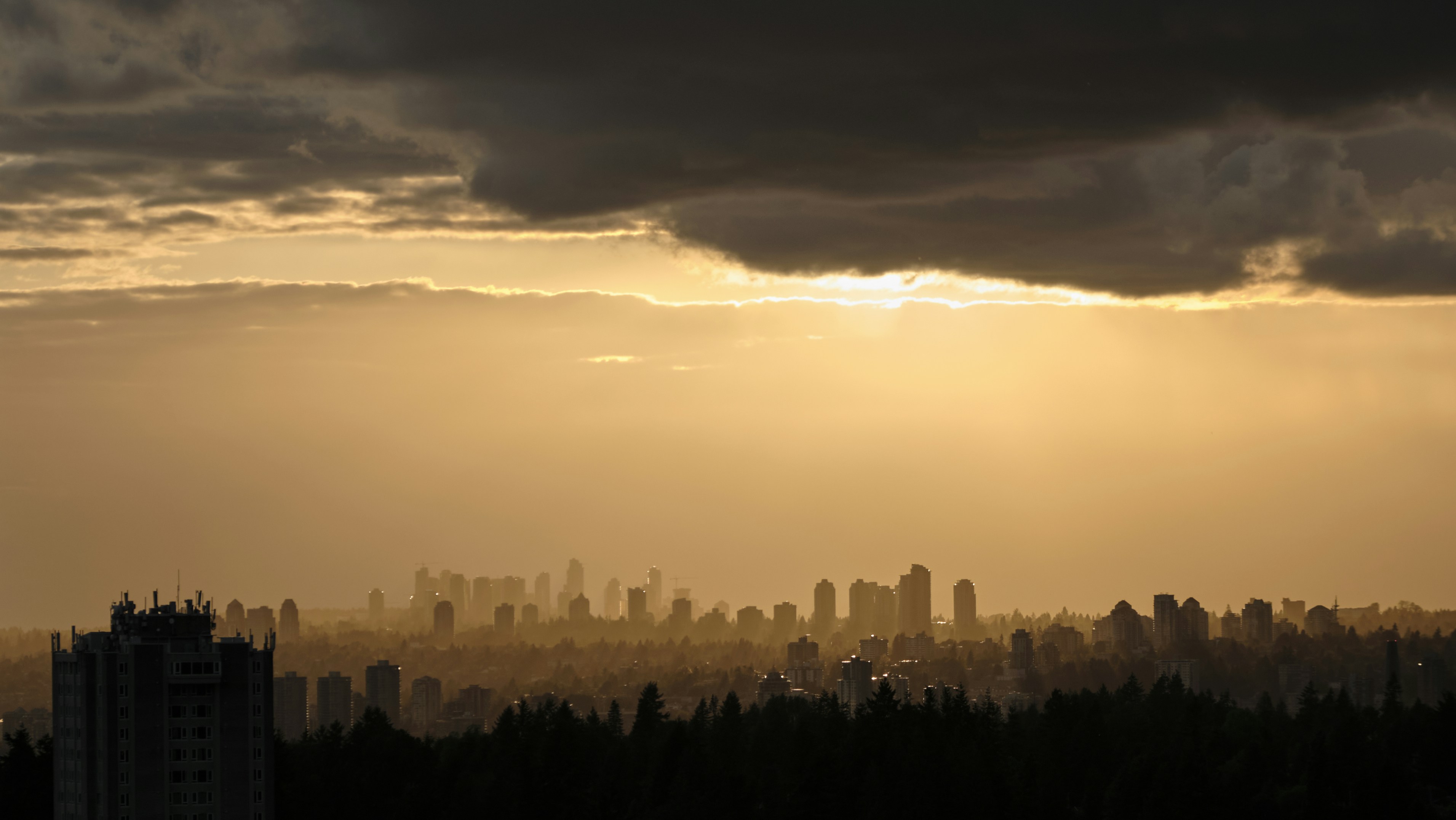 Photo by luan_nguyen_3