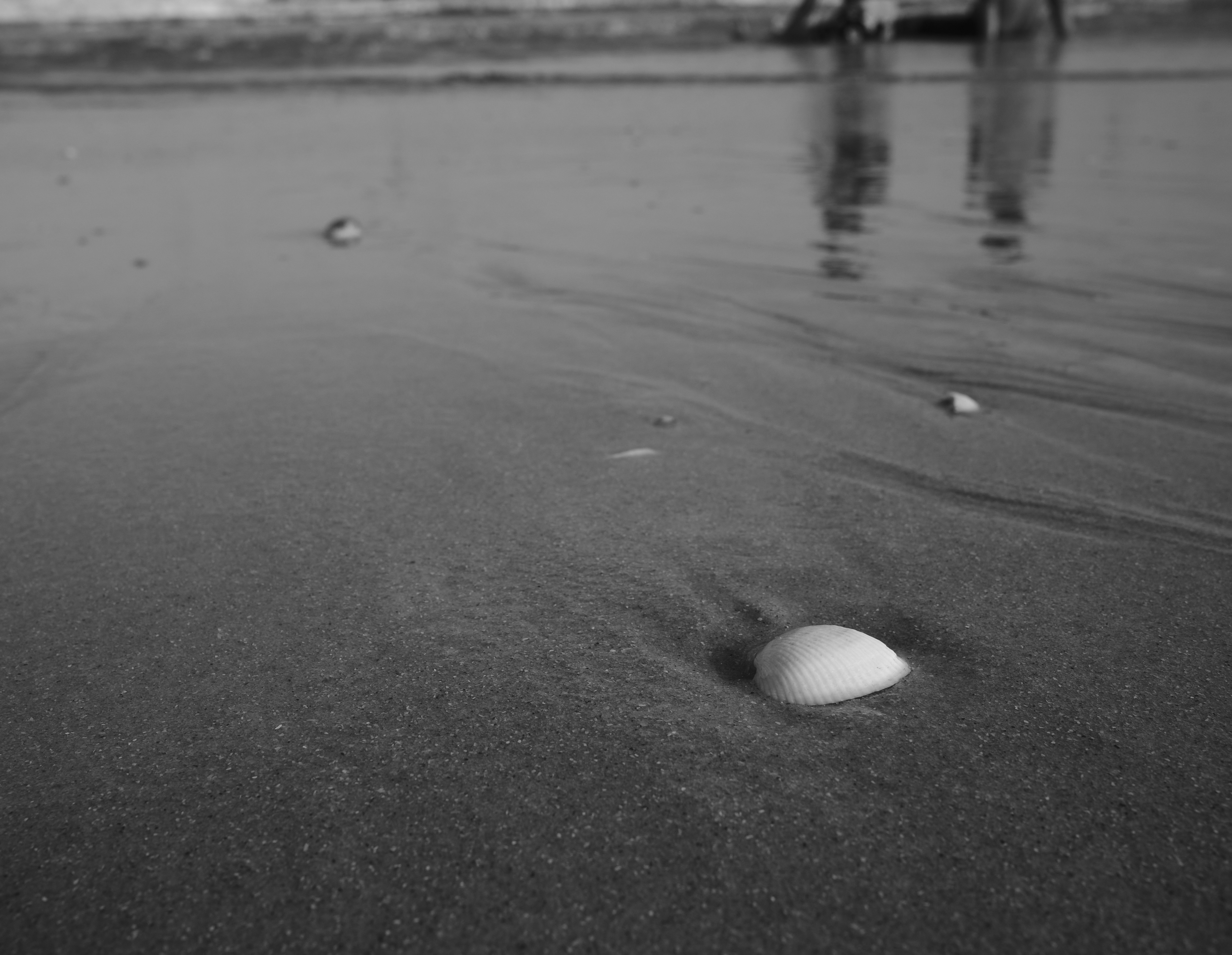 Photo by luan_nguyen_3